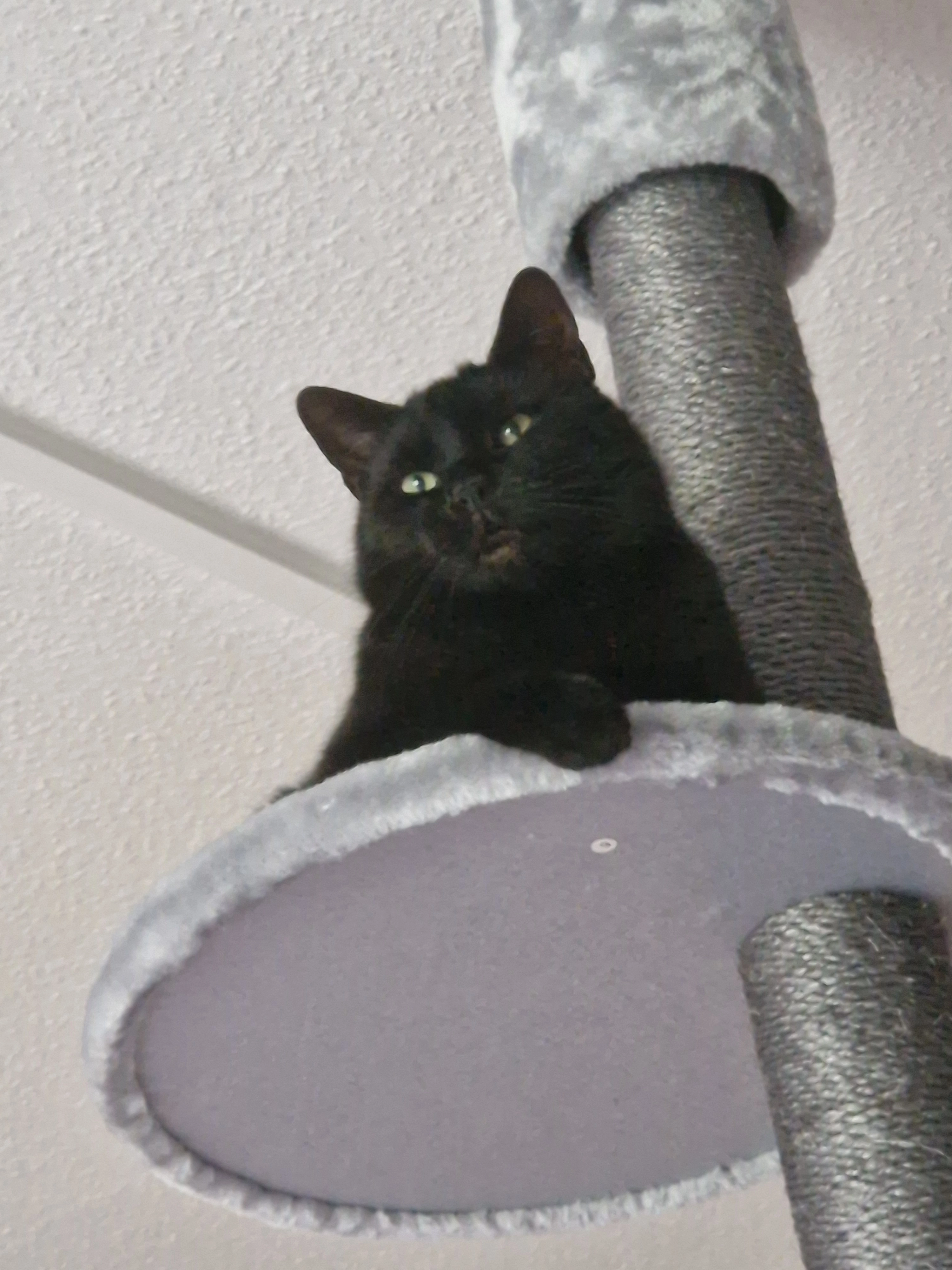 Peter - Walther-Grosse-Ring, Wernigerode