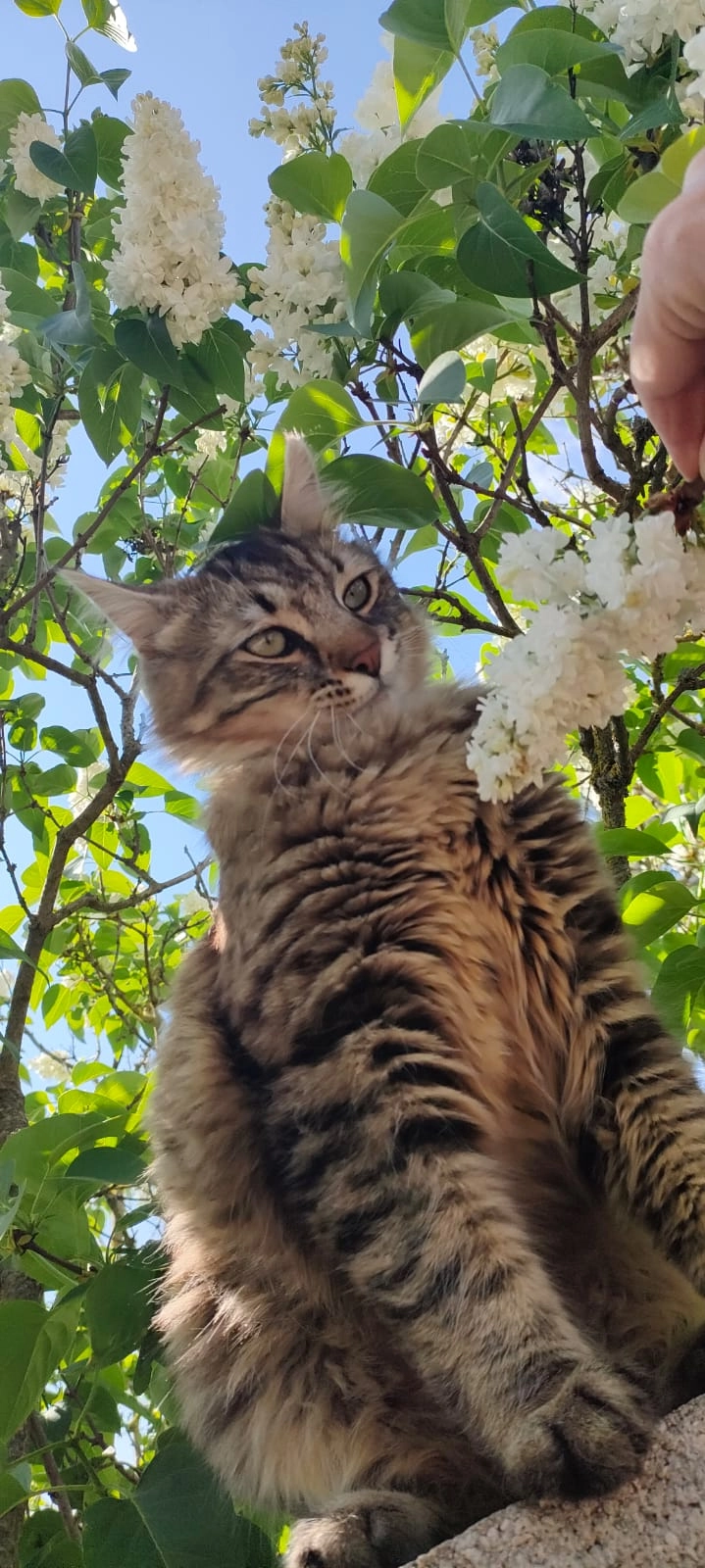 Sky - 144 Impasse du Renom, Le Plantay