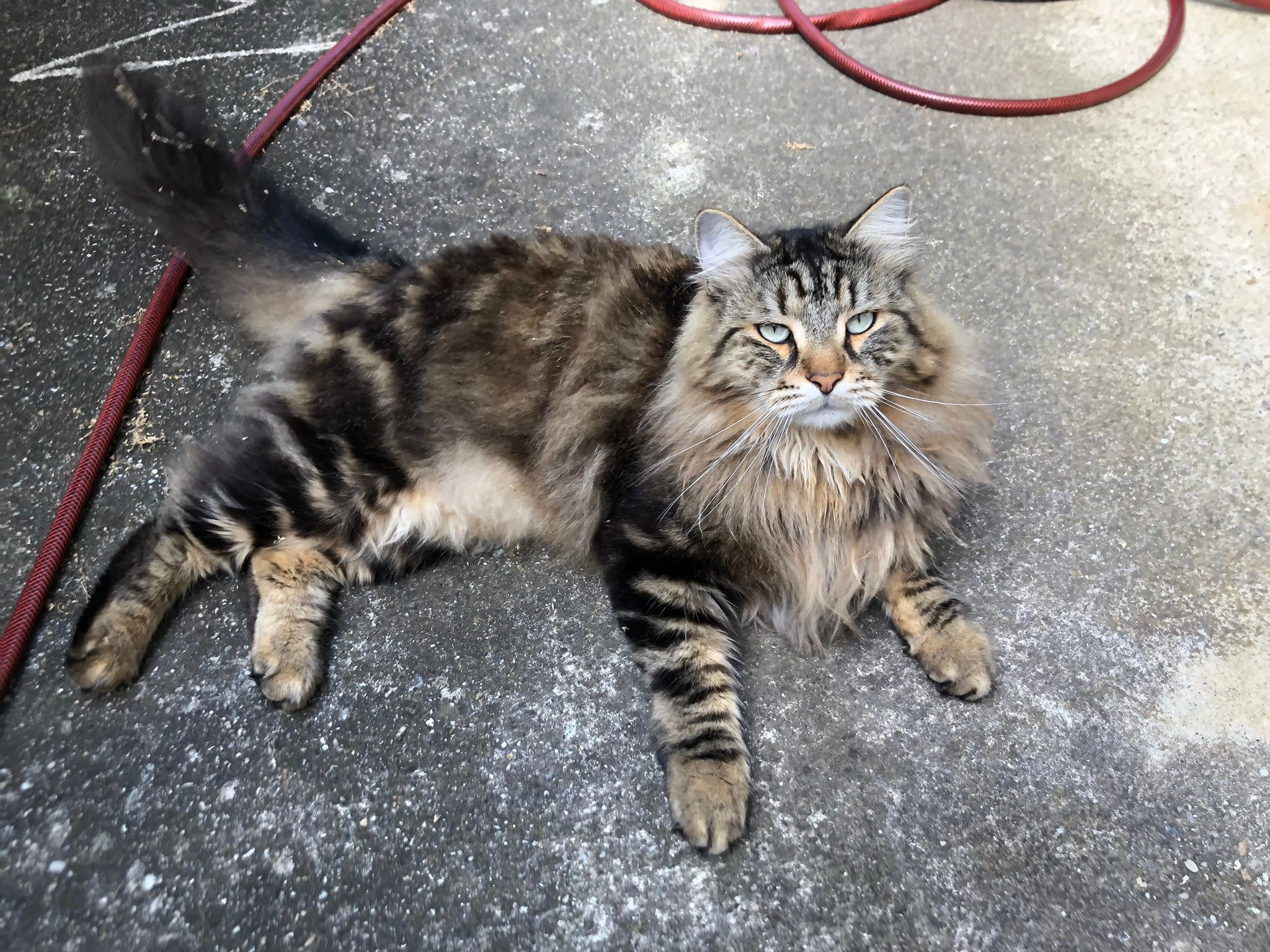 Levy - Andreasstraße 6, Eichgraben