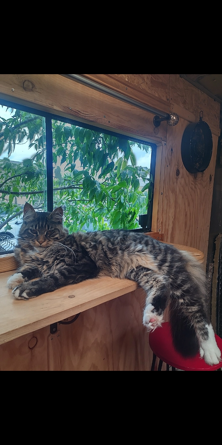 Heyoka  - Route De Gignac, Aniane