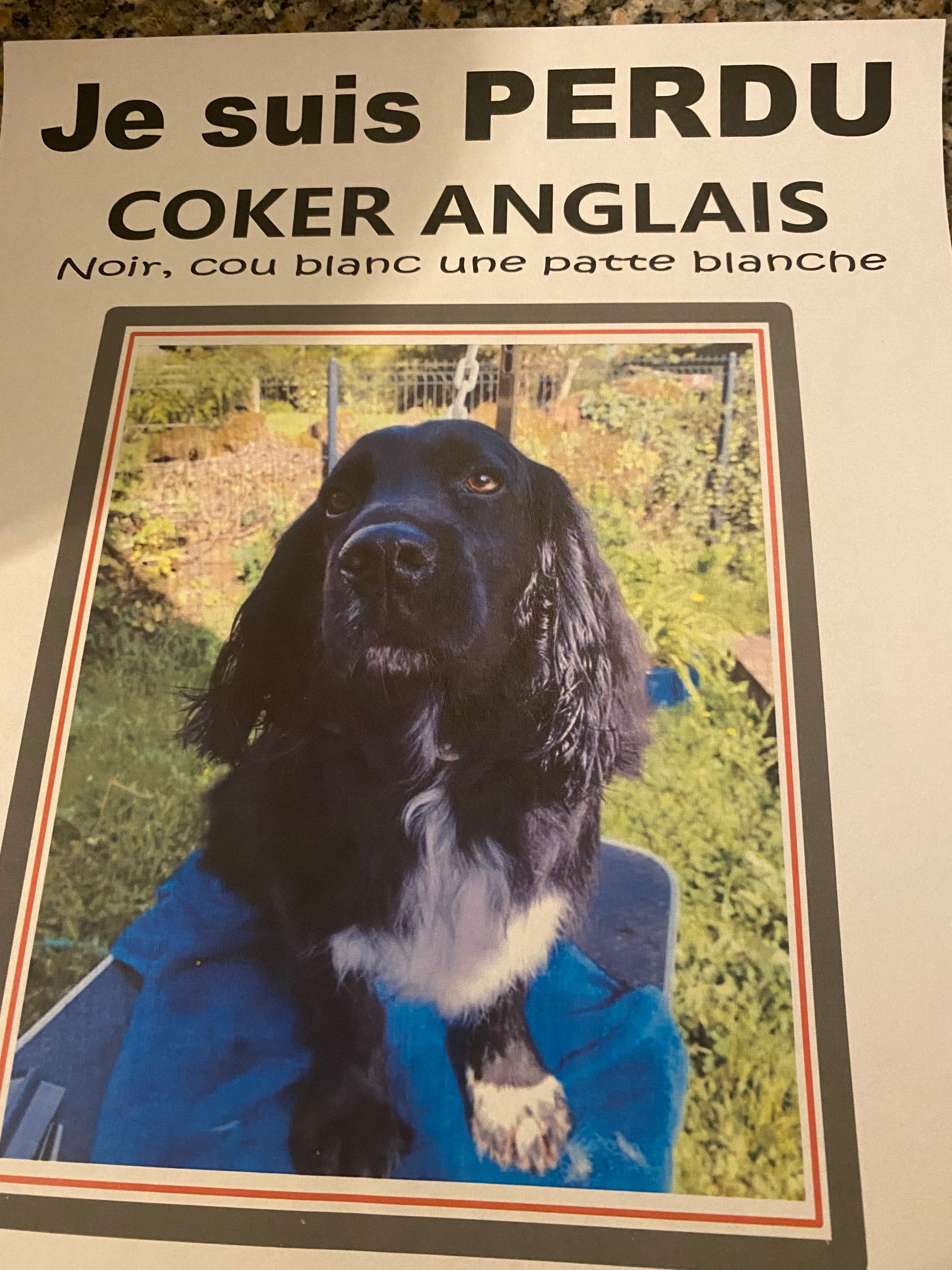 Je ne veux pas dire son nom  - Route Des Chateaux D'eau, Dampniat