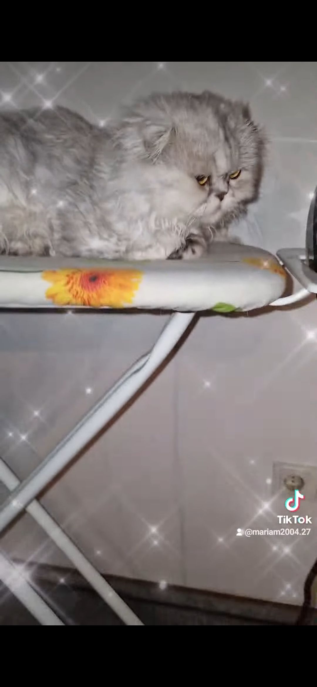 Silver - 91301, Forchheim