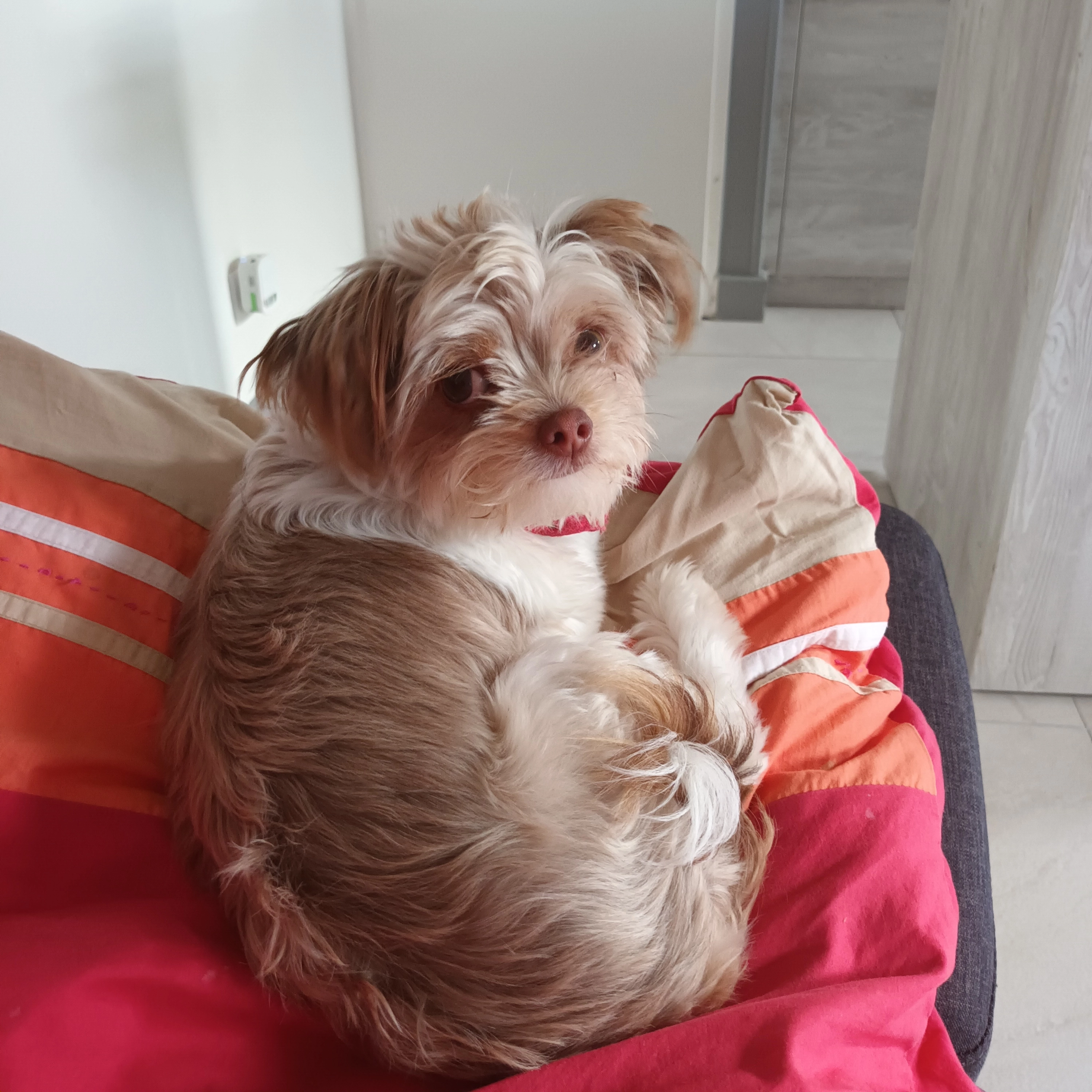 Alizée - Rue du Ruisseau, Chaligny