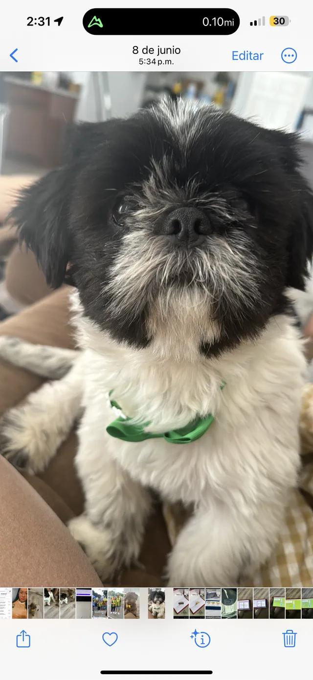 Chewbacca - 12235 W Thunderbird Rd, El Mirage