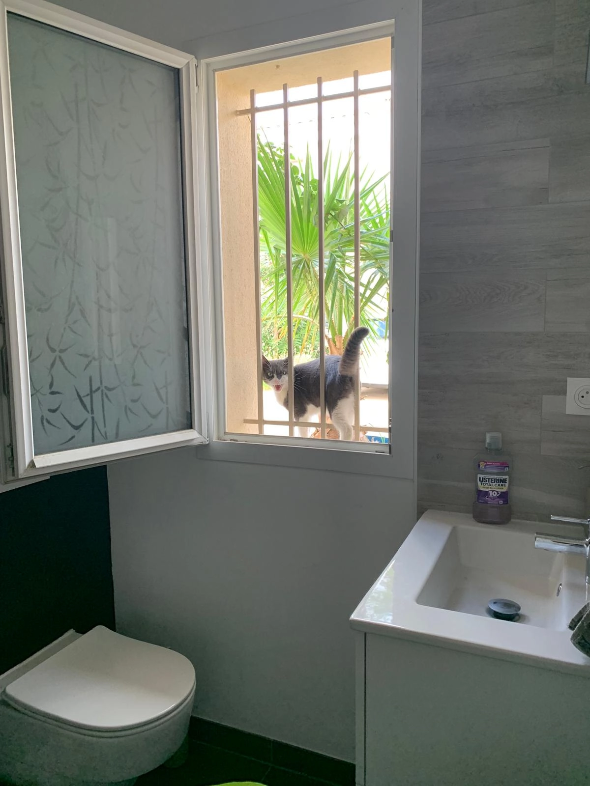 Aito - 248 Boulevard de Lavaux, La Ciotat