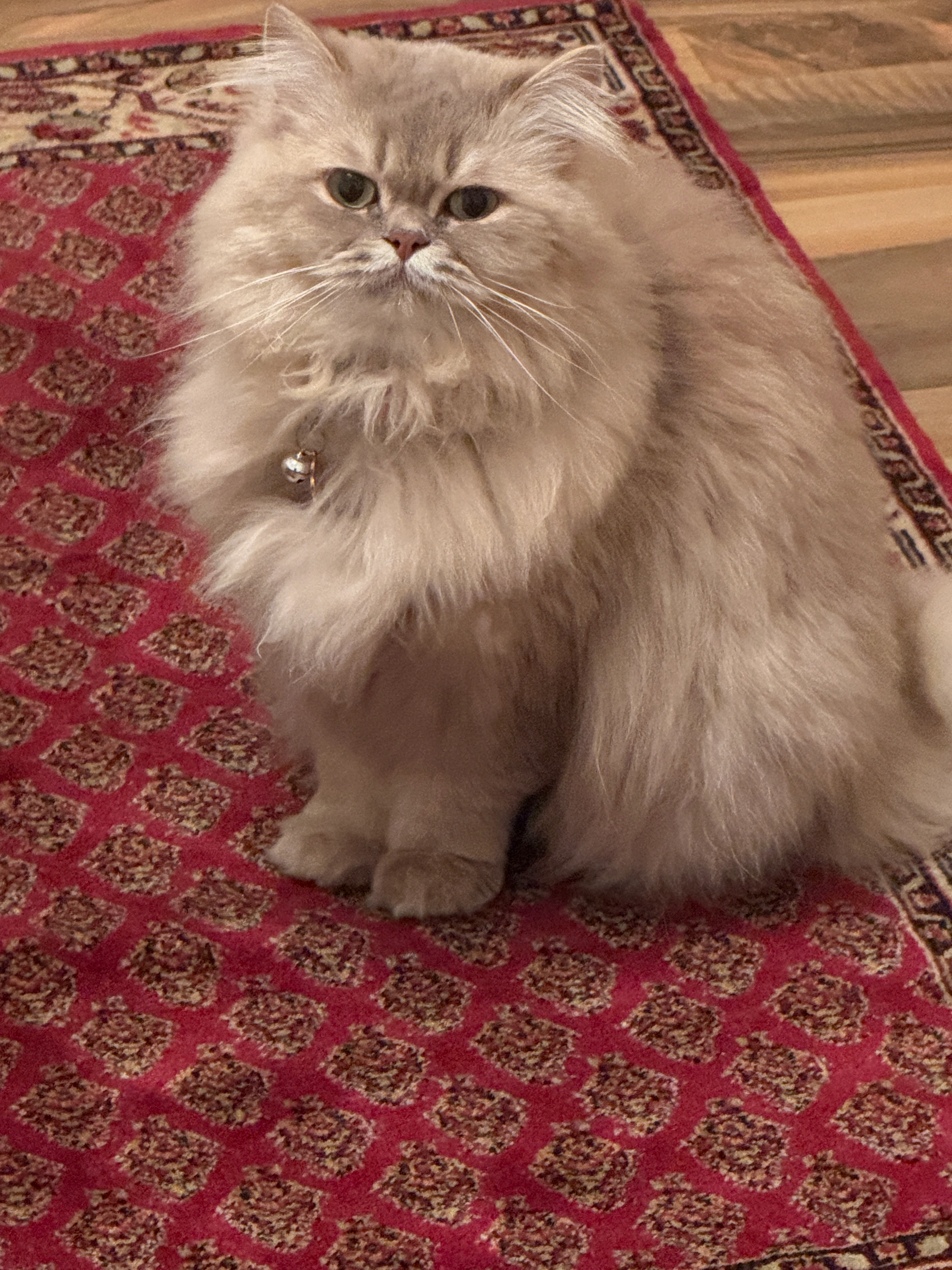 Hurria - Mühlenweg, Vellmar