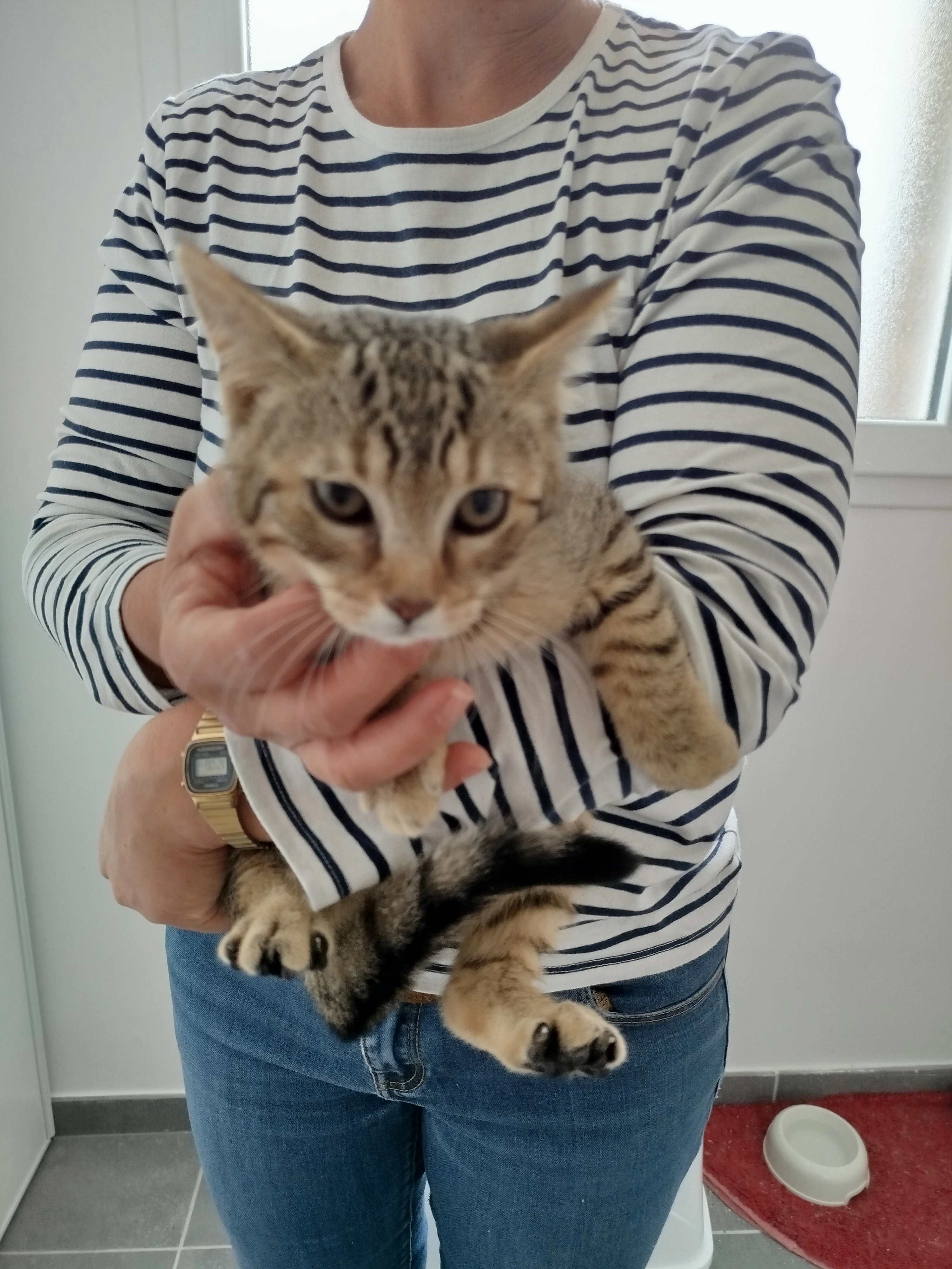 Zig - Impasse Retel, Amiens