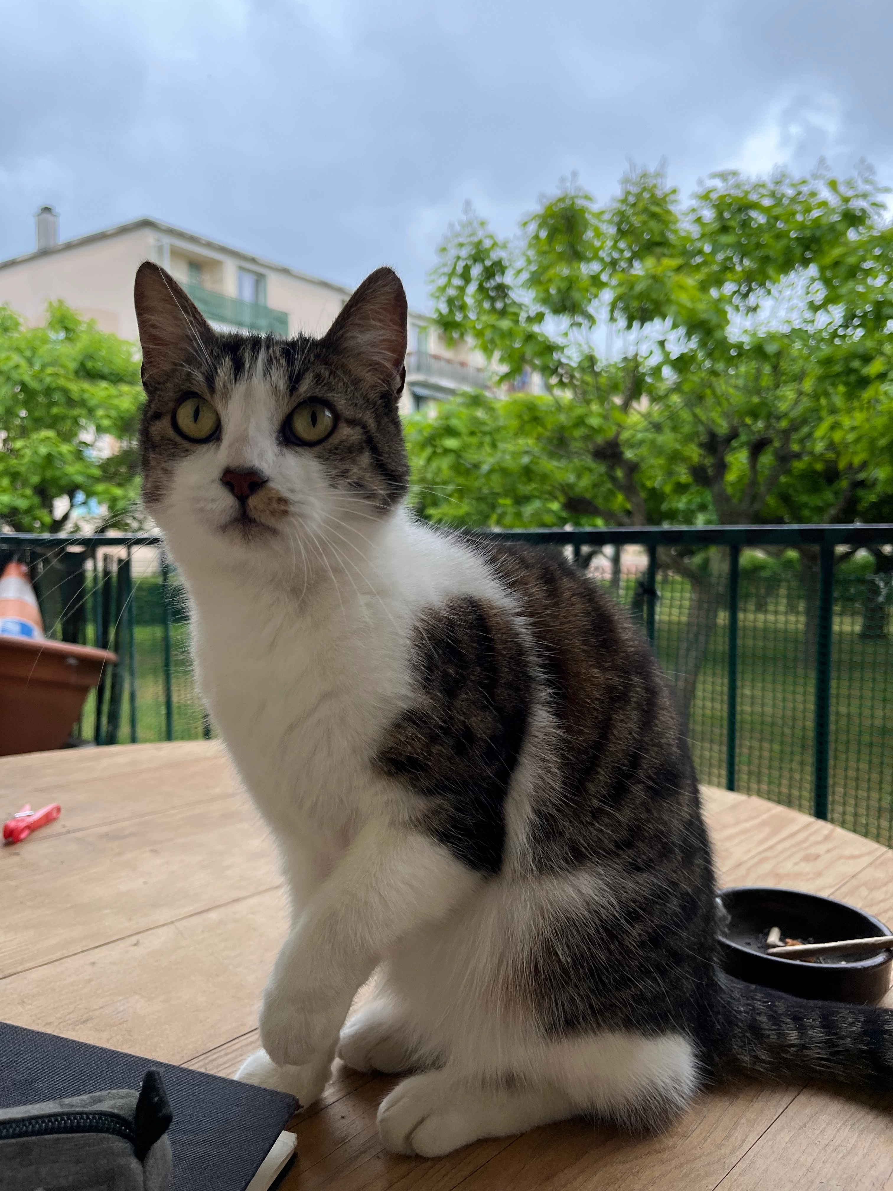 Suna  - 1 Rue Charles Chabert, Montélimar