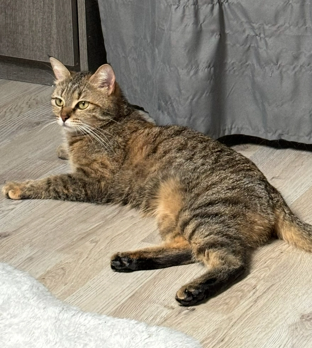 Tigry - Route Nationale, Colleret