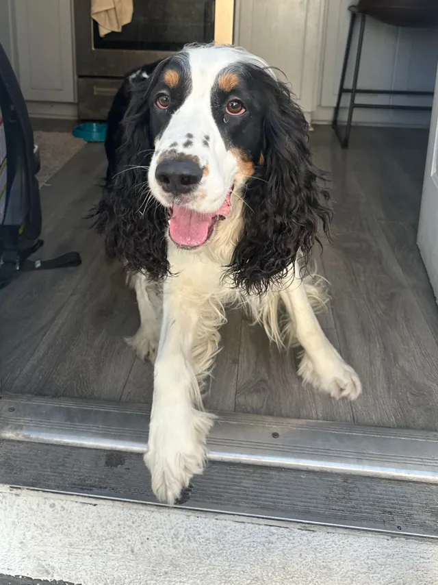 Otto - 901 E Imperial Ave, El Segundo