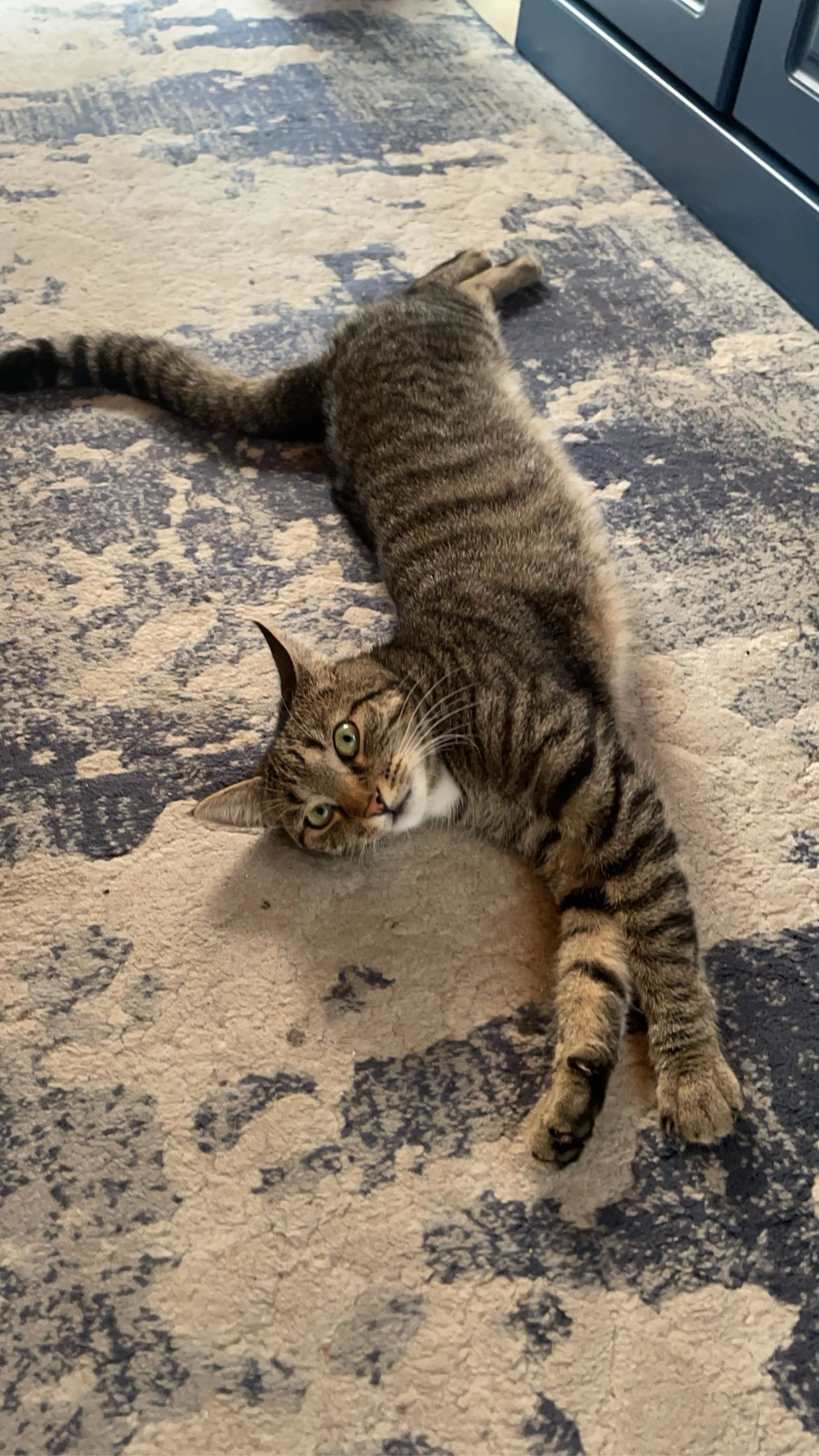 Cooky - Lindenstraße, Gschwend