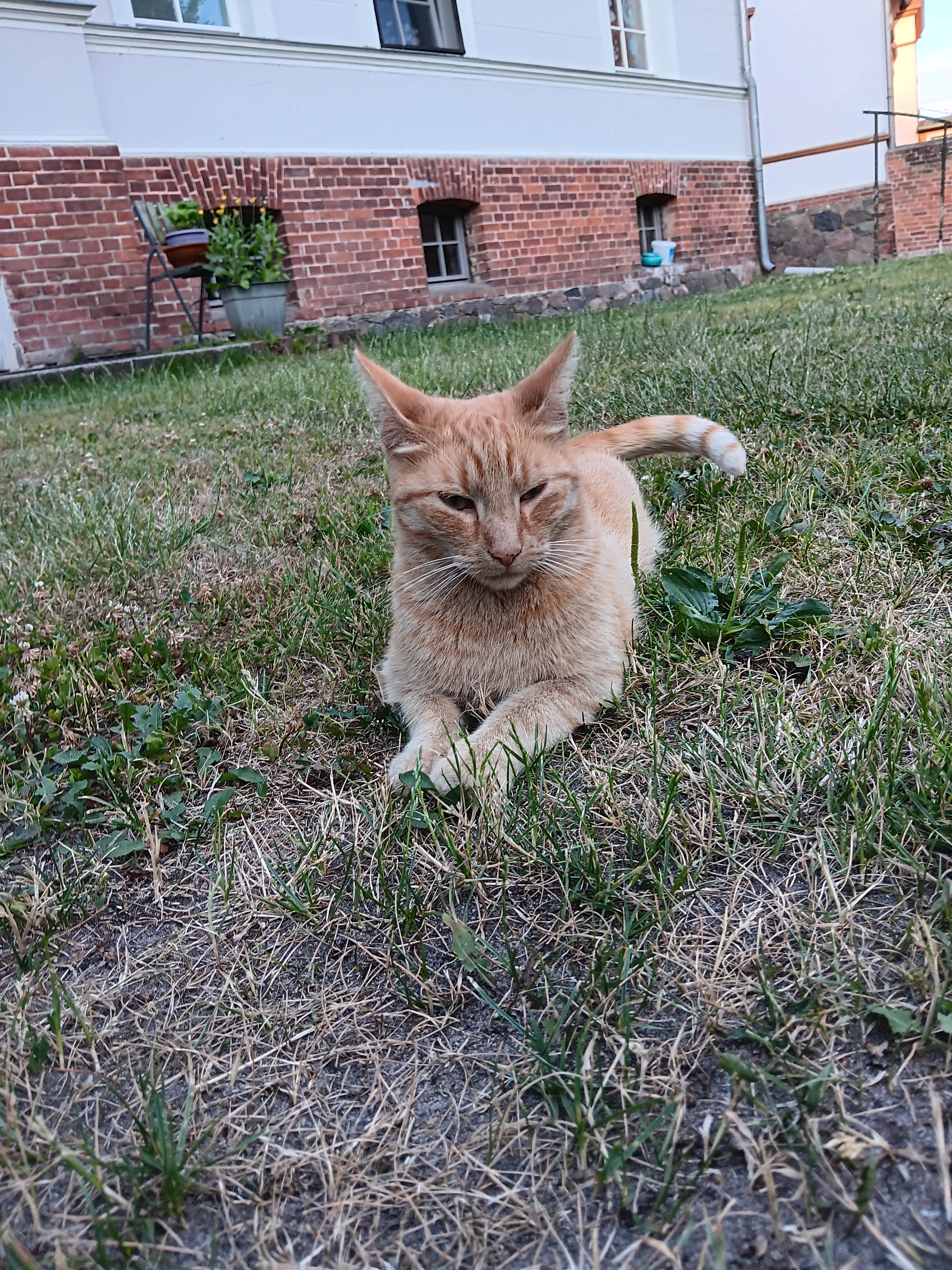 Shnuffie - Von Bad Freienwalde, Bad Freienwalde