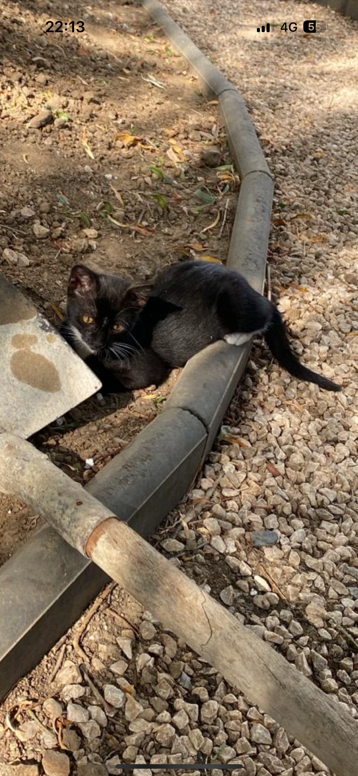 Smooky - 2 Rue du Carillon, Luisant