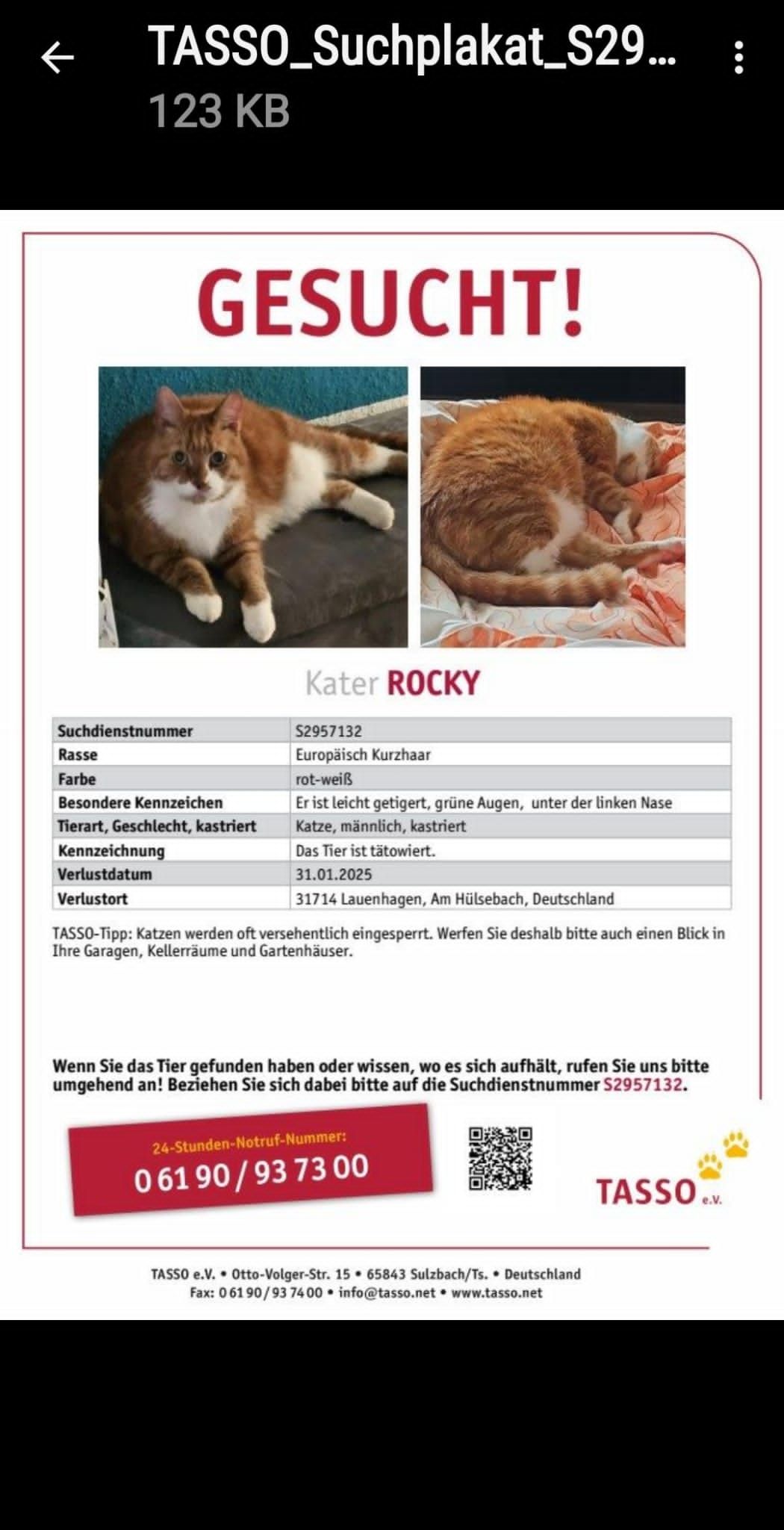 Rocky - Am Hülsebach, Lauenhagen