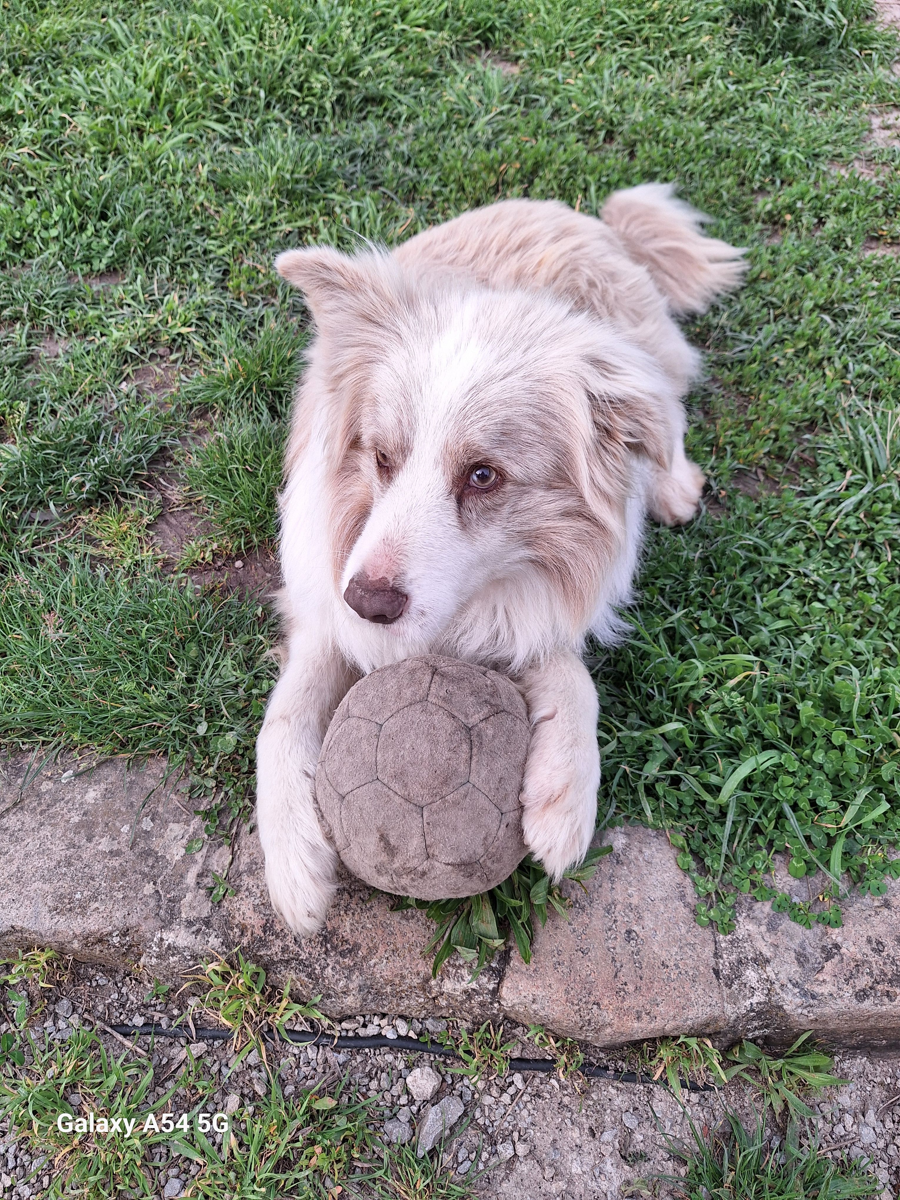 Lucky - Rue Anne Masson, Ébaty