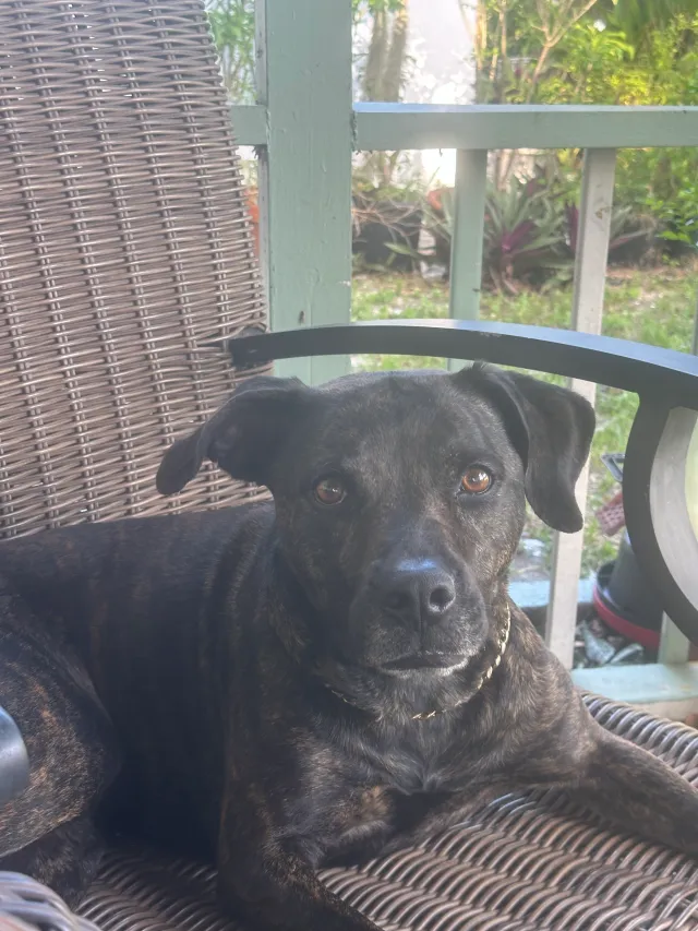 Lola - Southwest 20th Street, Fort Lauderdale