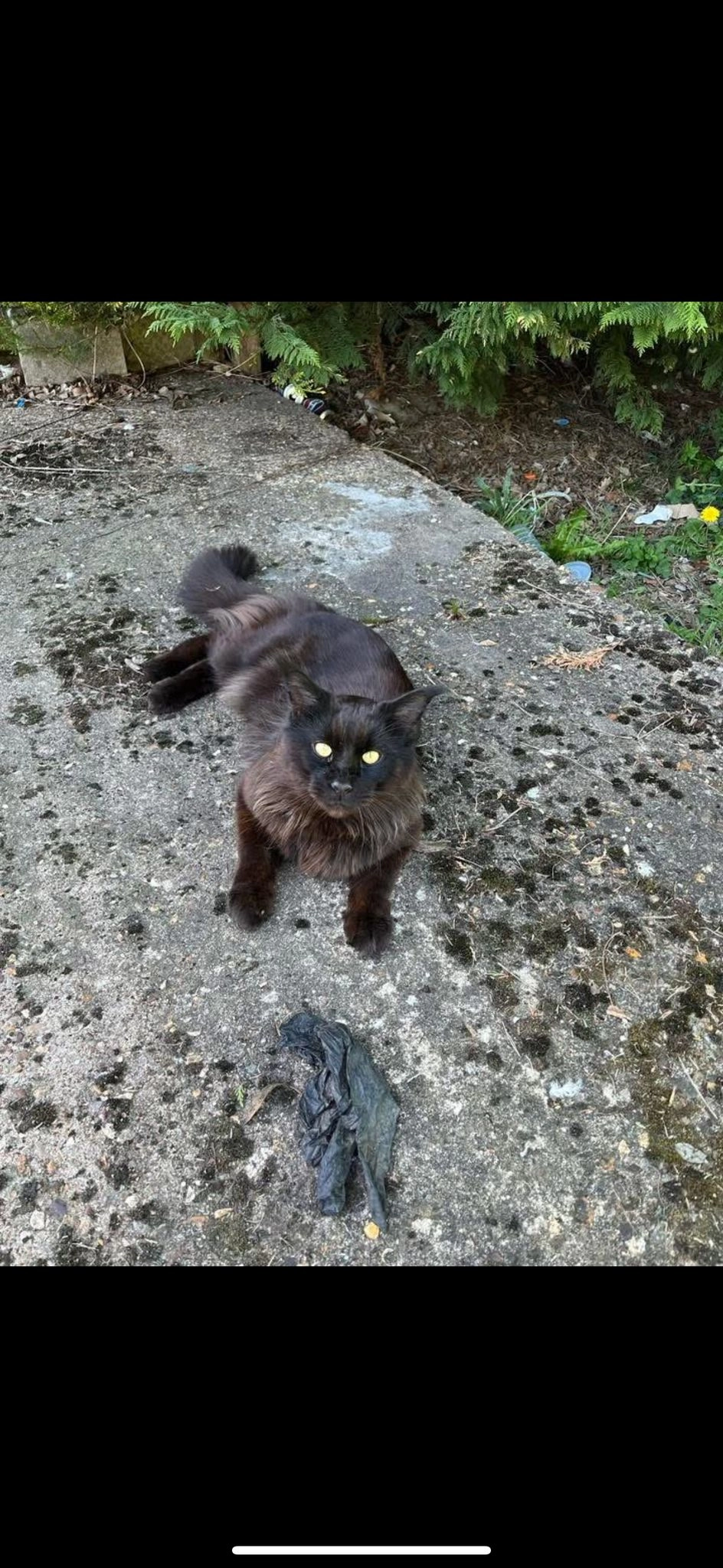 Sirius - Stamford Road, Kettering