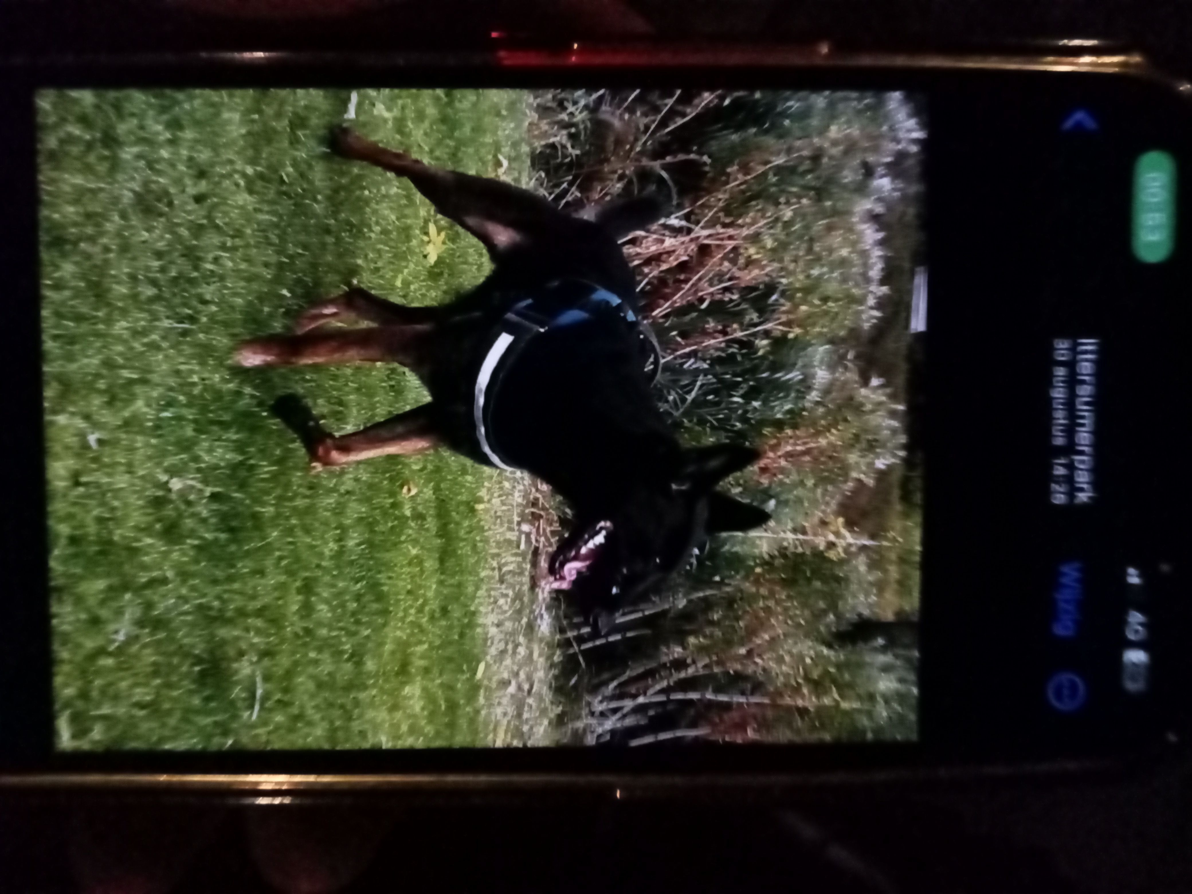 Djenna - De Kempenaerware, Zwolle