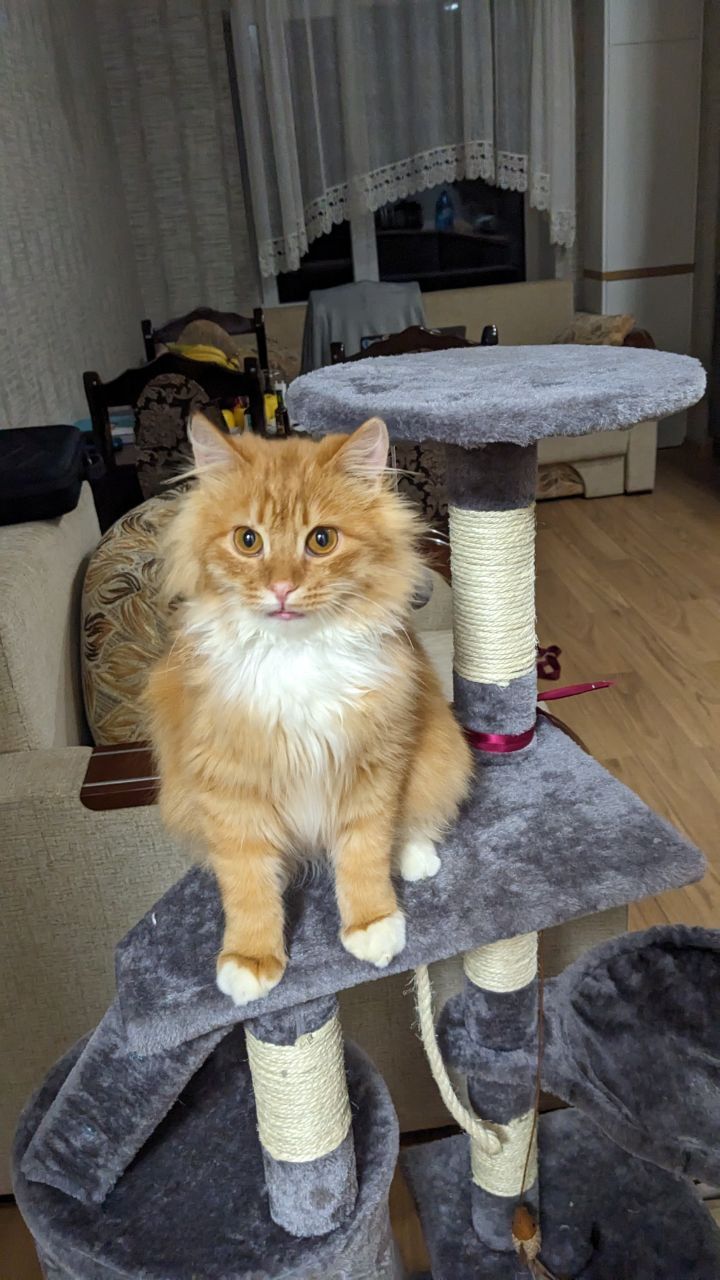 Bysik - Žešov, Prostějov