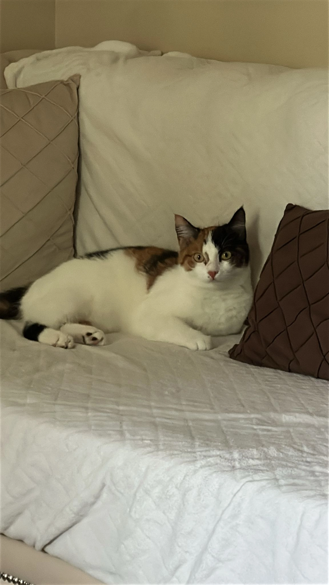 Popcorn  - 4 Rue du Général Malleterre, Paris