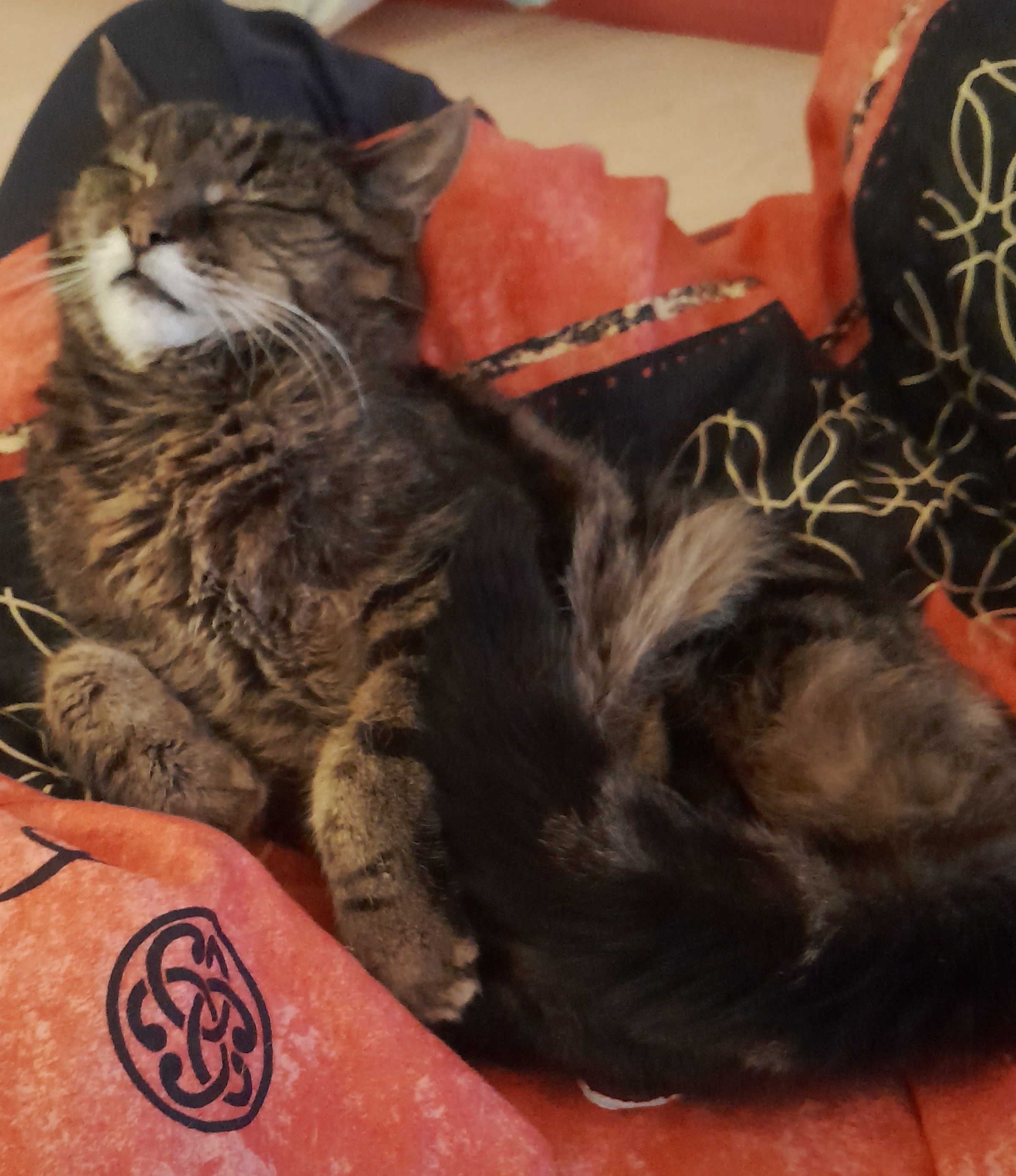 Jingsi - Damaschkestraße, Aue-Bad Schlema