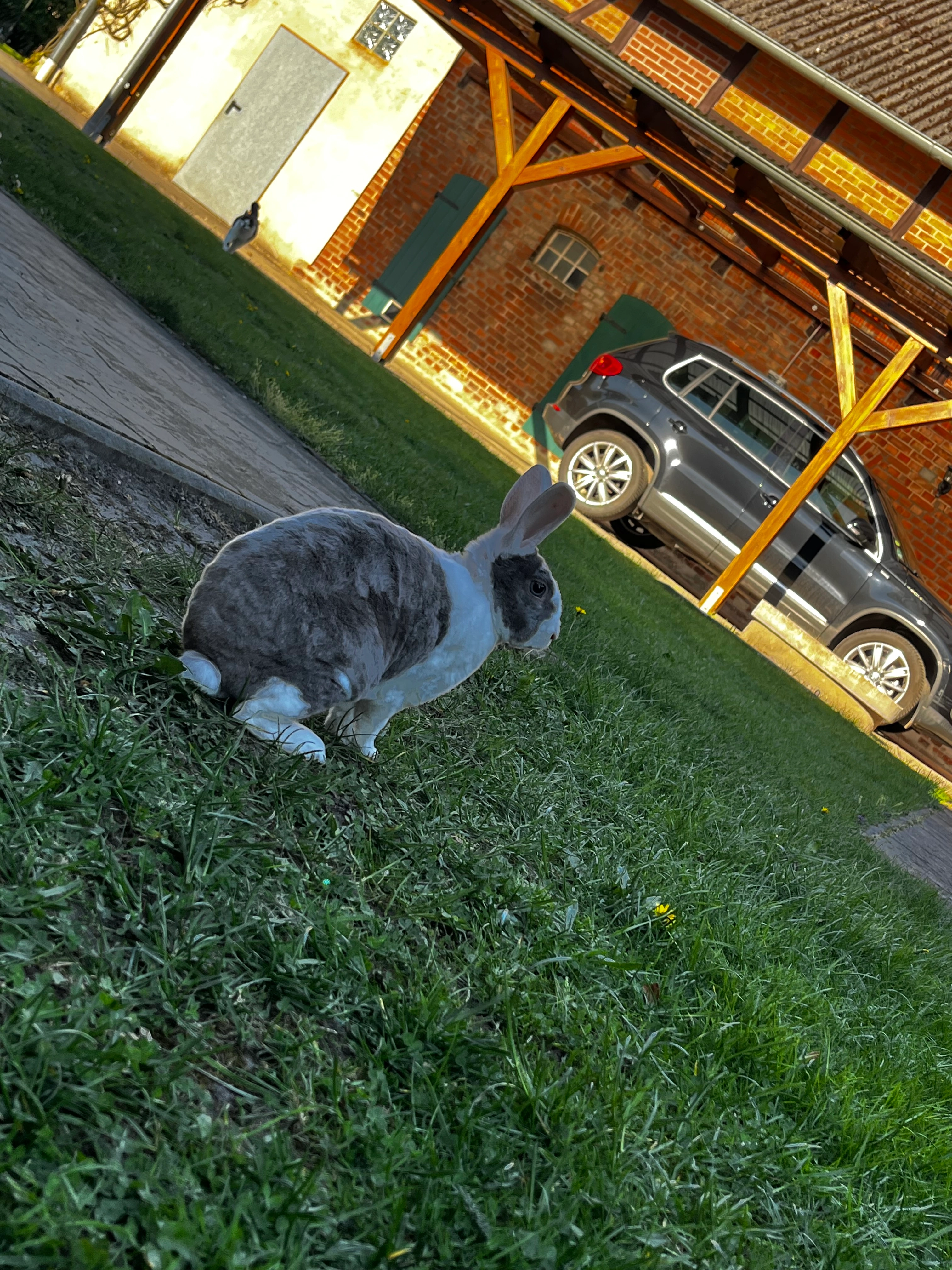 Lugano - Am Sportplatz, Wesendorf