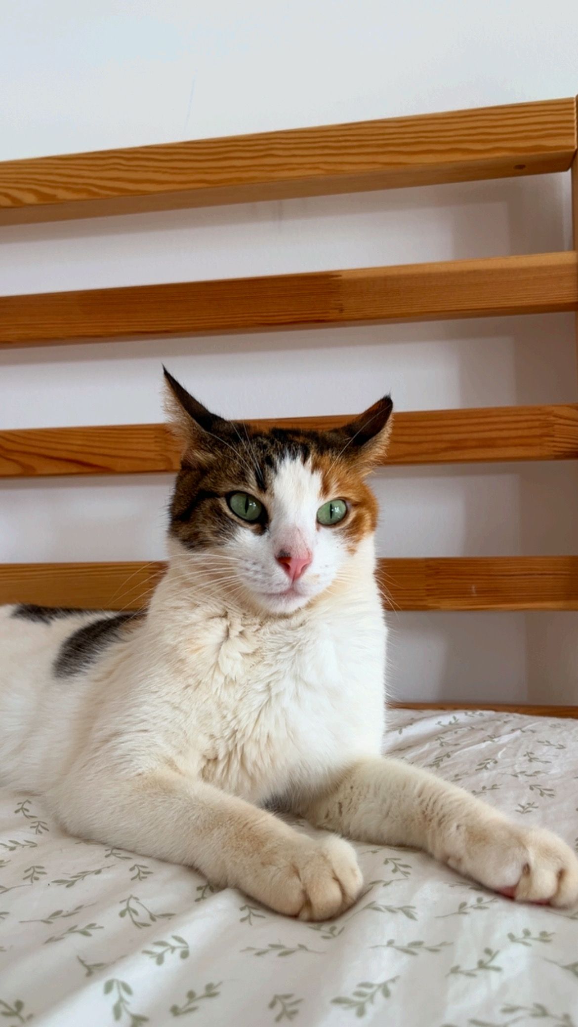 Balım  - Deniz Caddesi, Kumluca