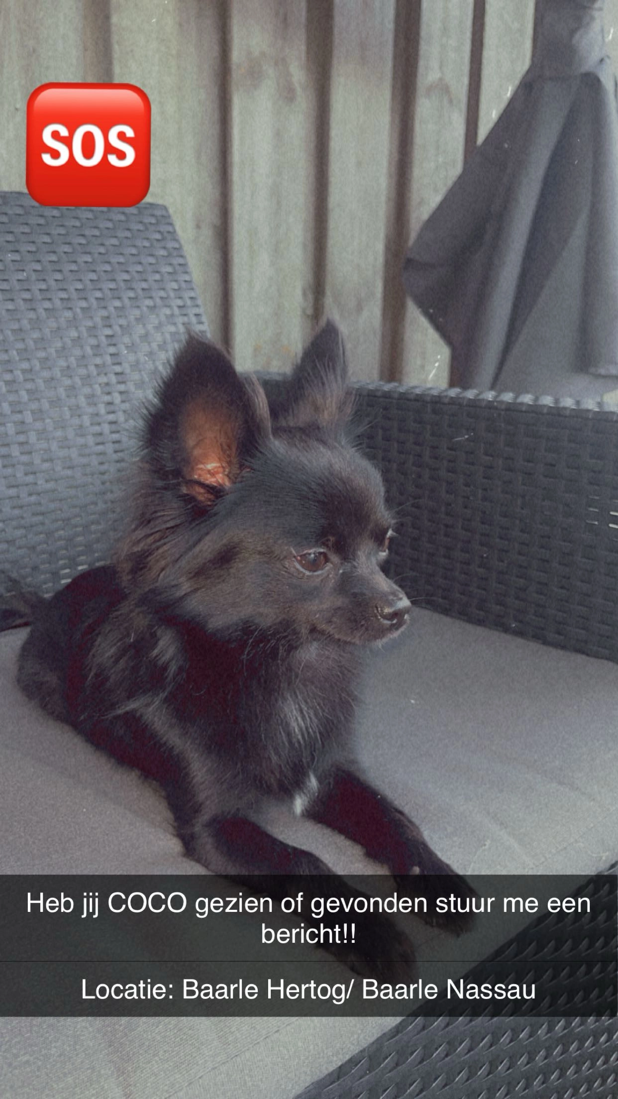 Coco - Nijhoven, Noord-Brabant