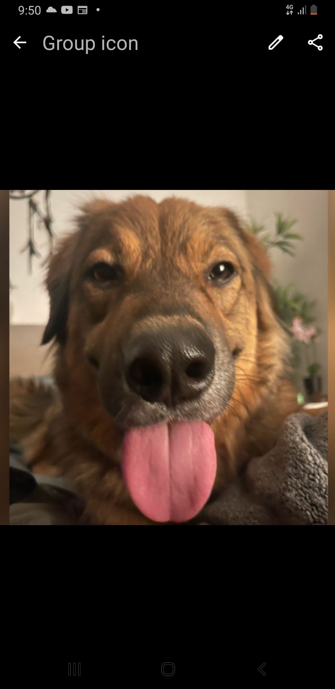 Balou - Deidesheimer Straße, Berlin