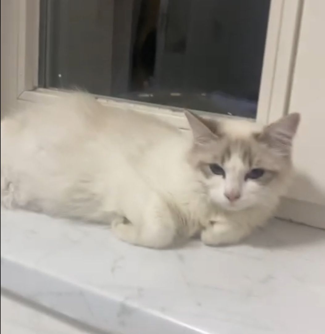 Uadah - Letzlinger Straße, Magdeburg