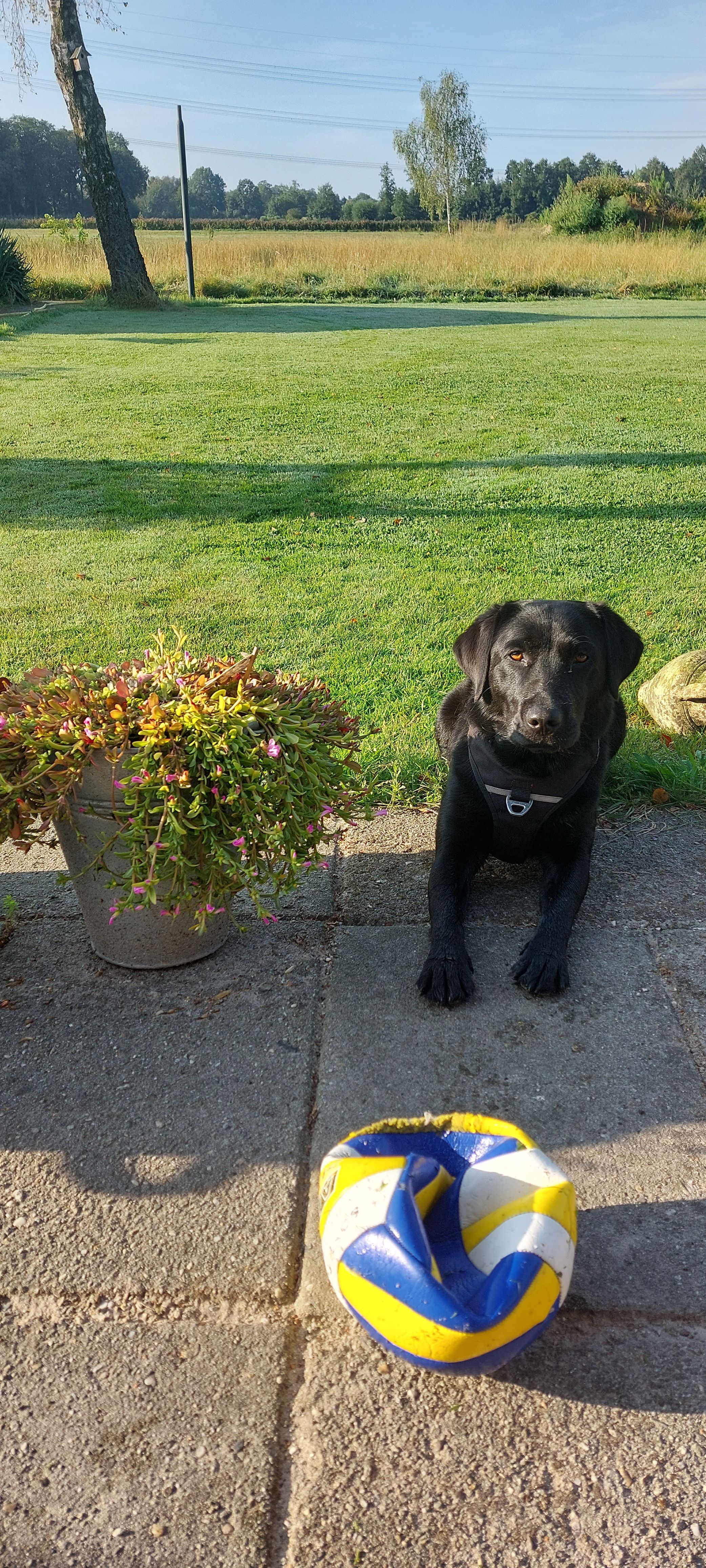 Juultje - Hedingsesteeg, Oirschot