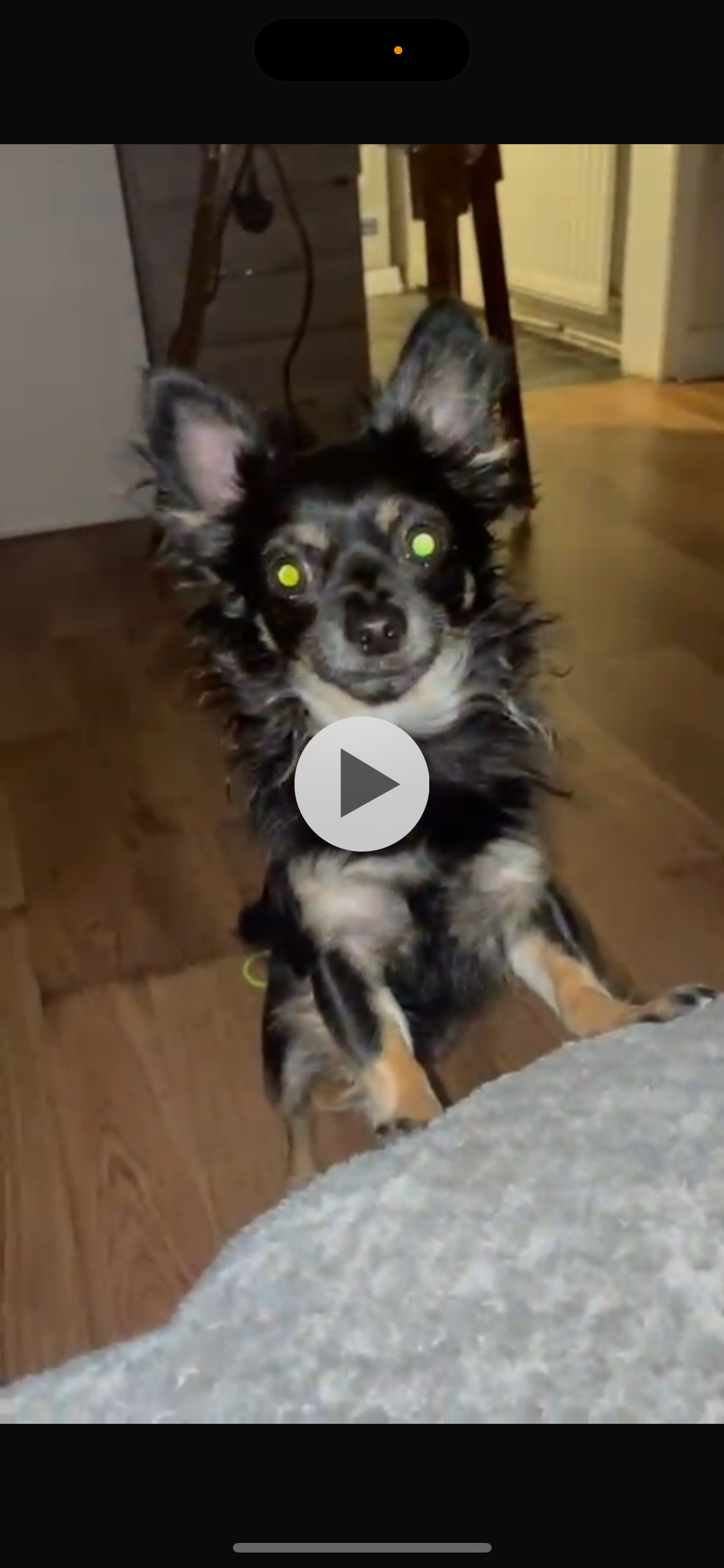 Timmy / baby cakes / Pablo : - Whitchurch Road, Manchester