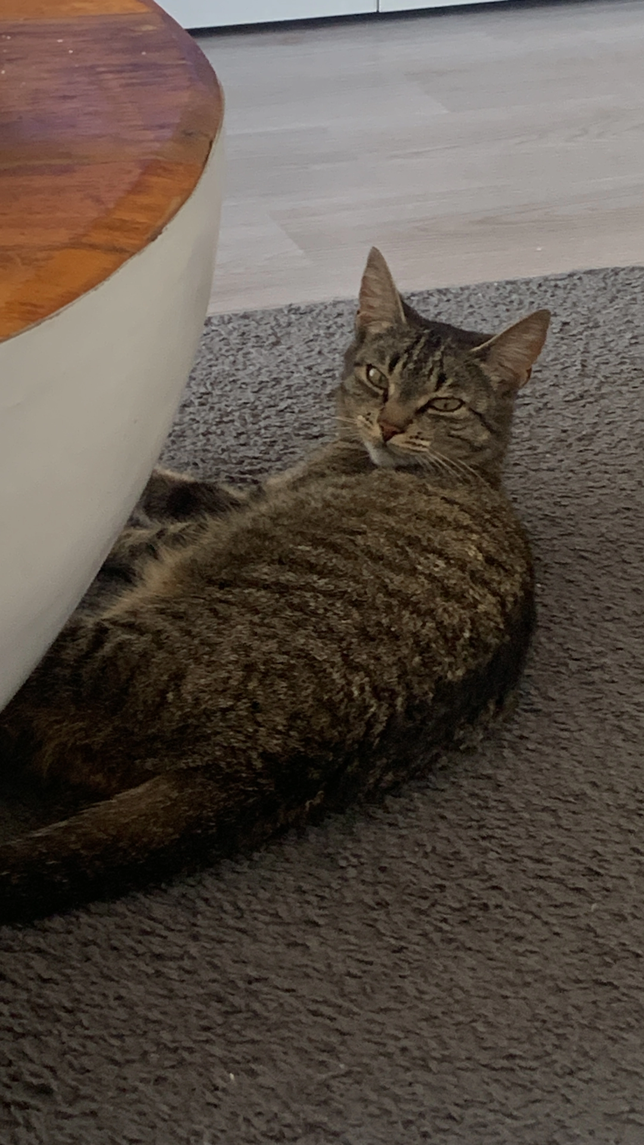 Lovin - Burgemeester Bloemersstraat, Nieuw-Roden