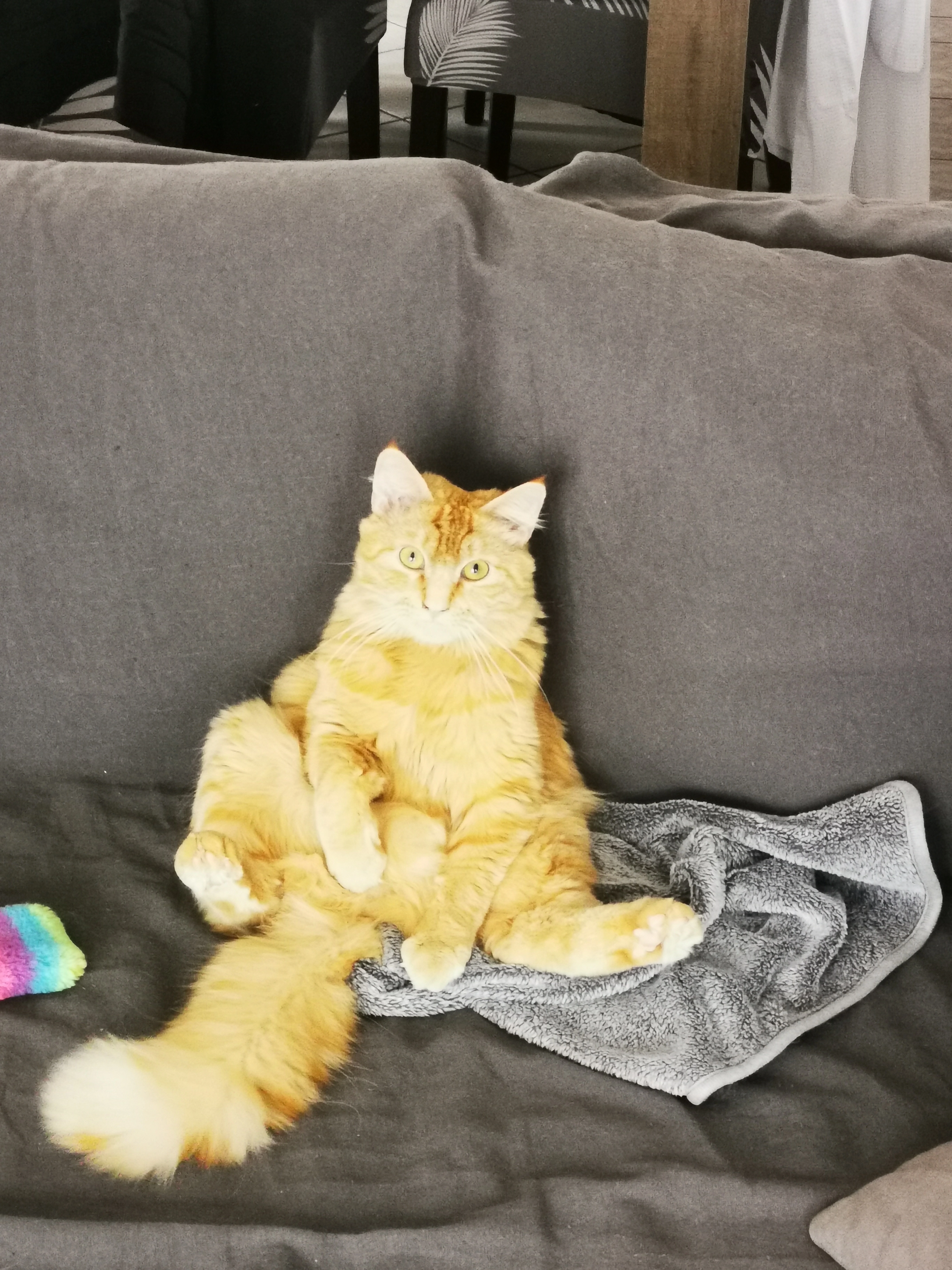 Nala - Lotissement Beaurivage, Saint-Jean-de-Verges