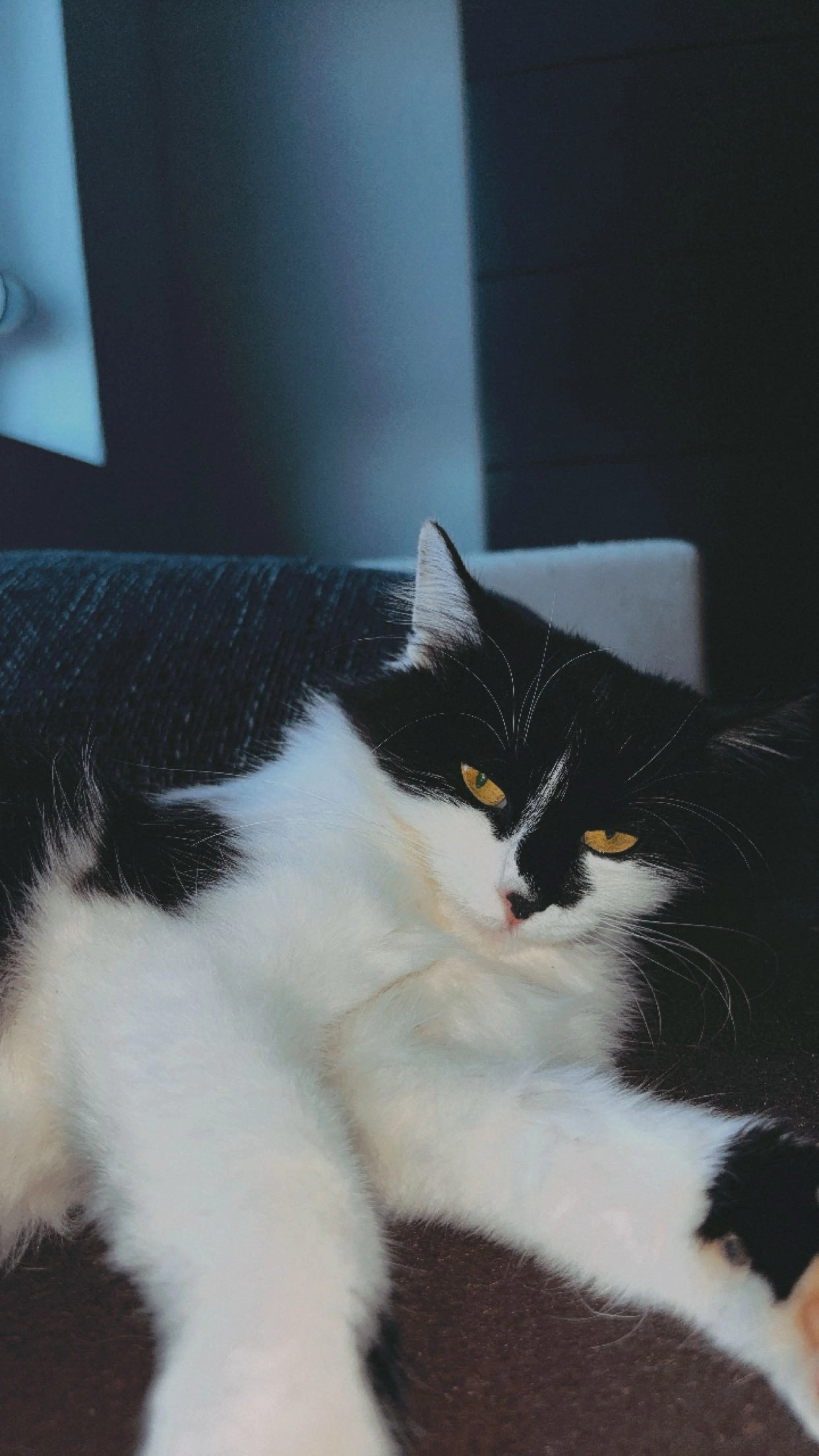 Hexe - Schönborner Weg, Burladingen