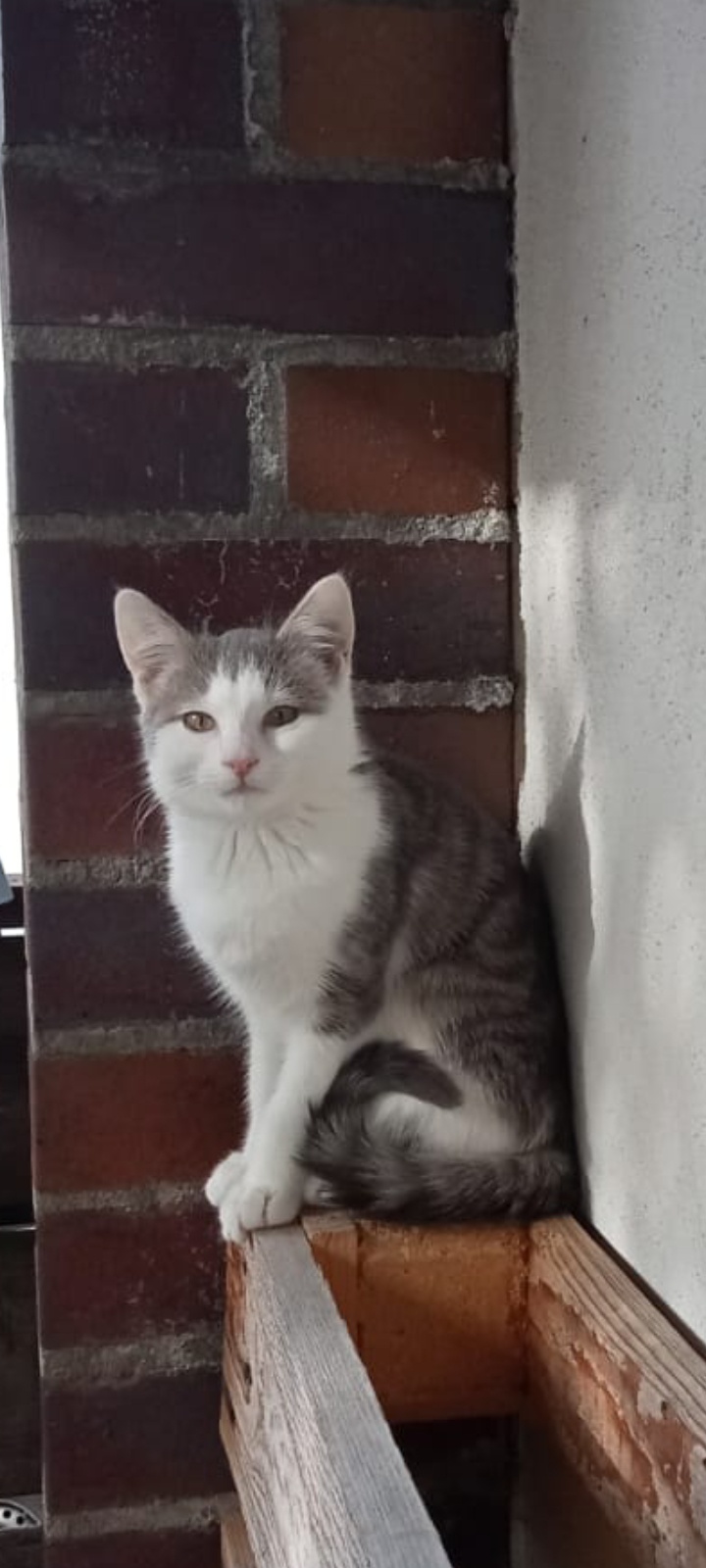 Duman - Eichendorffstraße, Parsberg