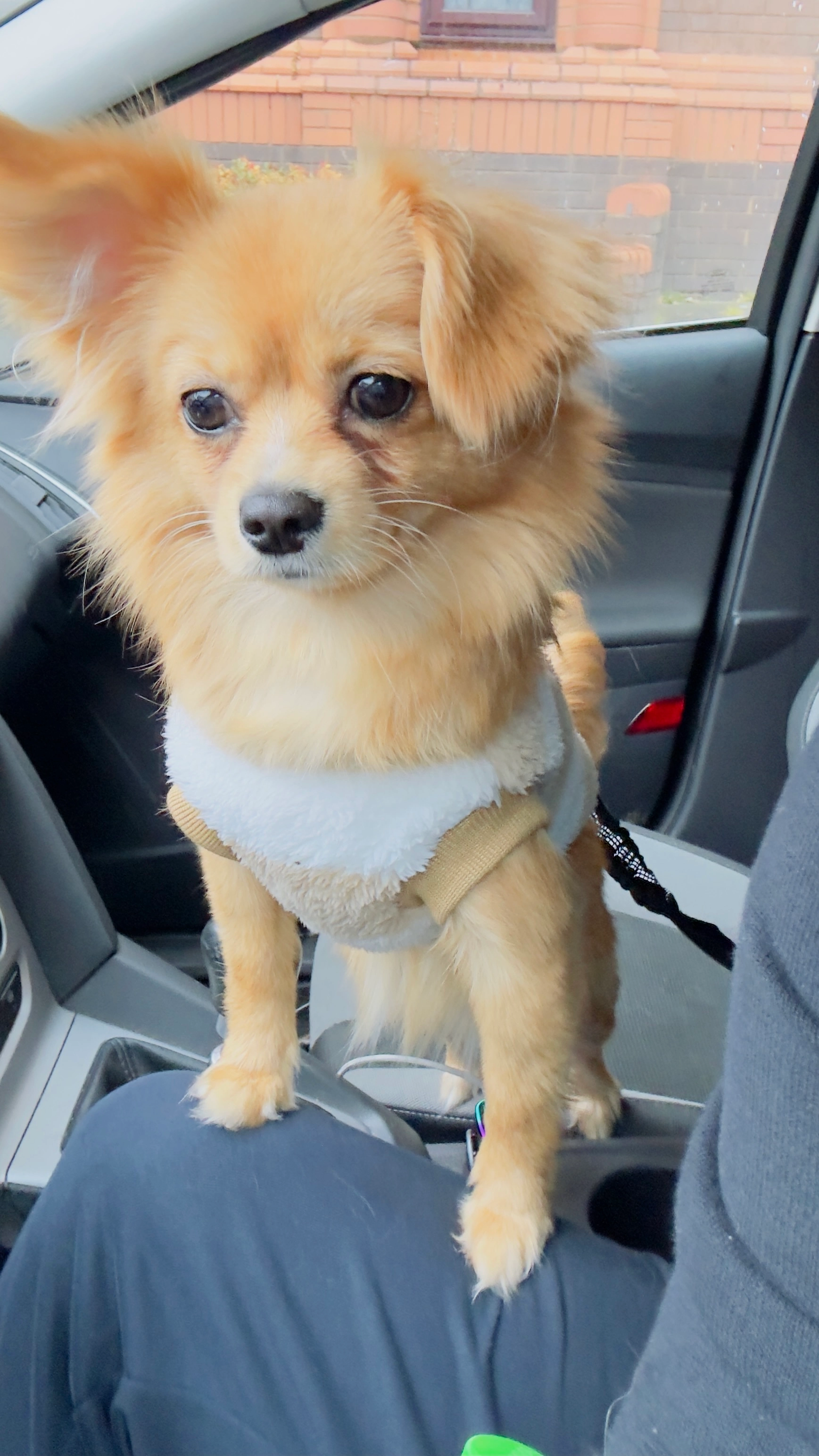 Bhagi - Conway Road, Luton