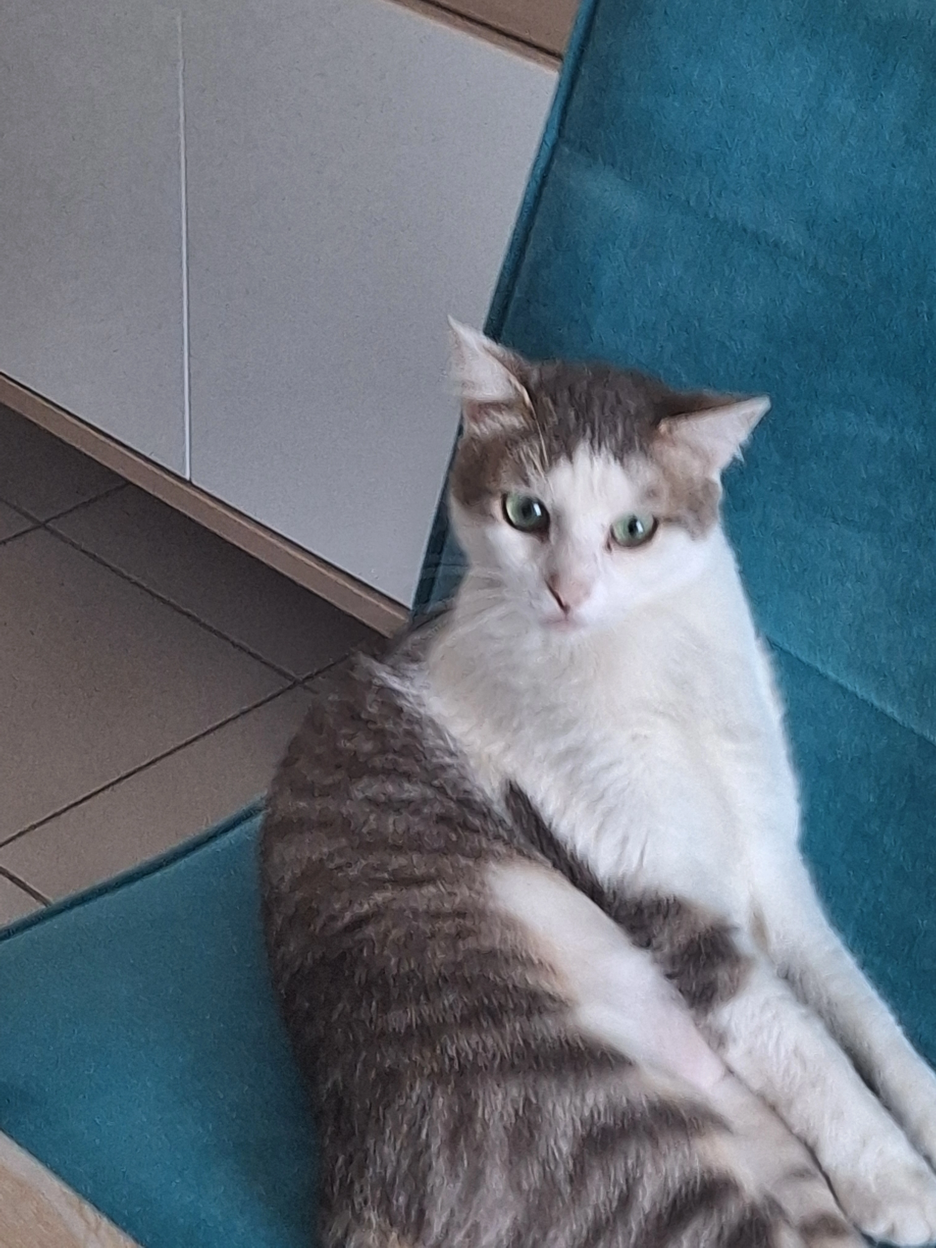 Choco  - Rue Prosper Mérimée, Lens