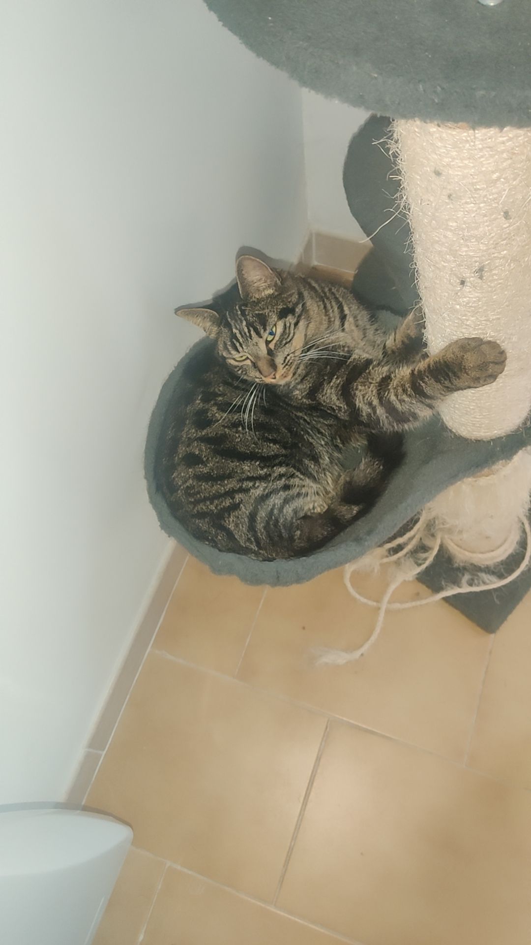 Héra  - Rue Des Saints Martins, Beaulieu-sur-Loire