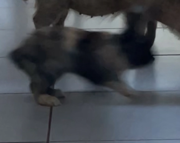 Hasta  - 19 Route de Mornant, Givors