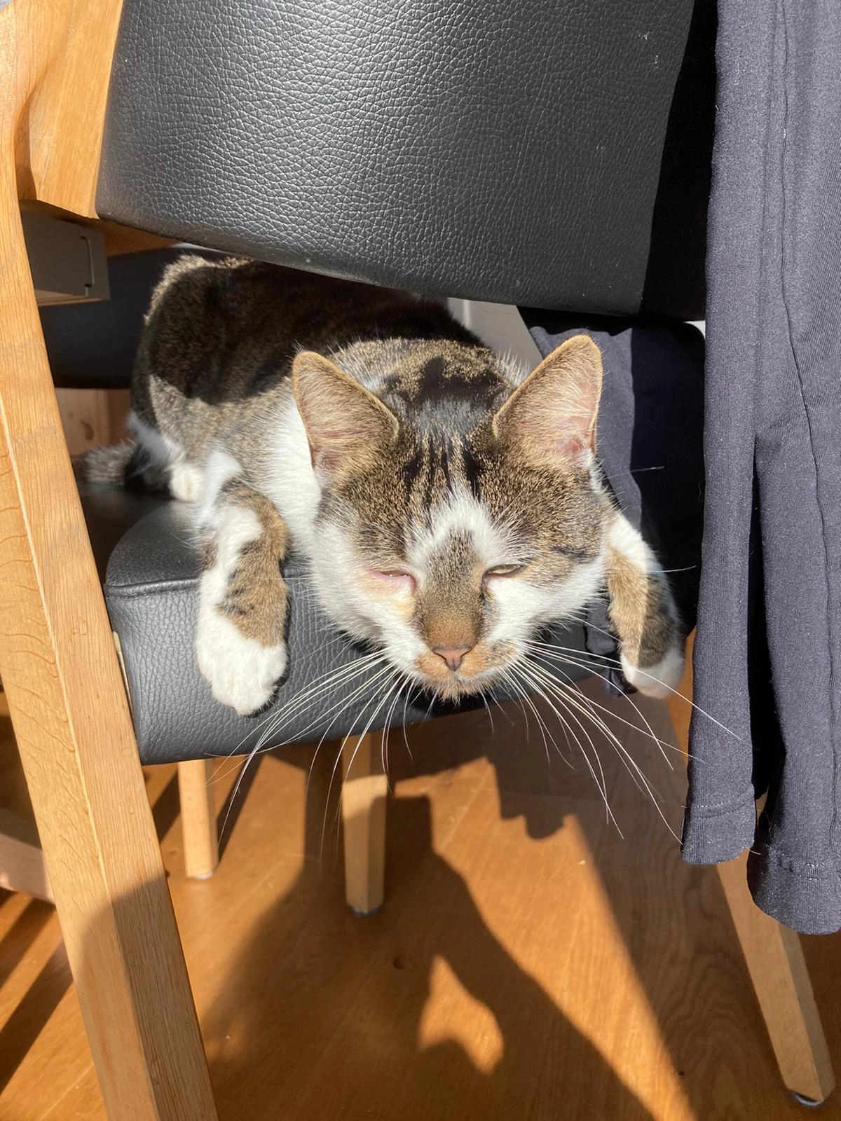 Kio - Lange Gasse, Ammerbuch