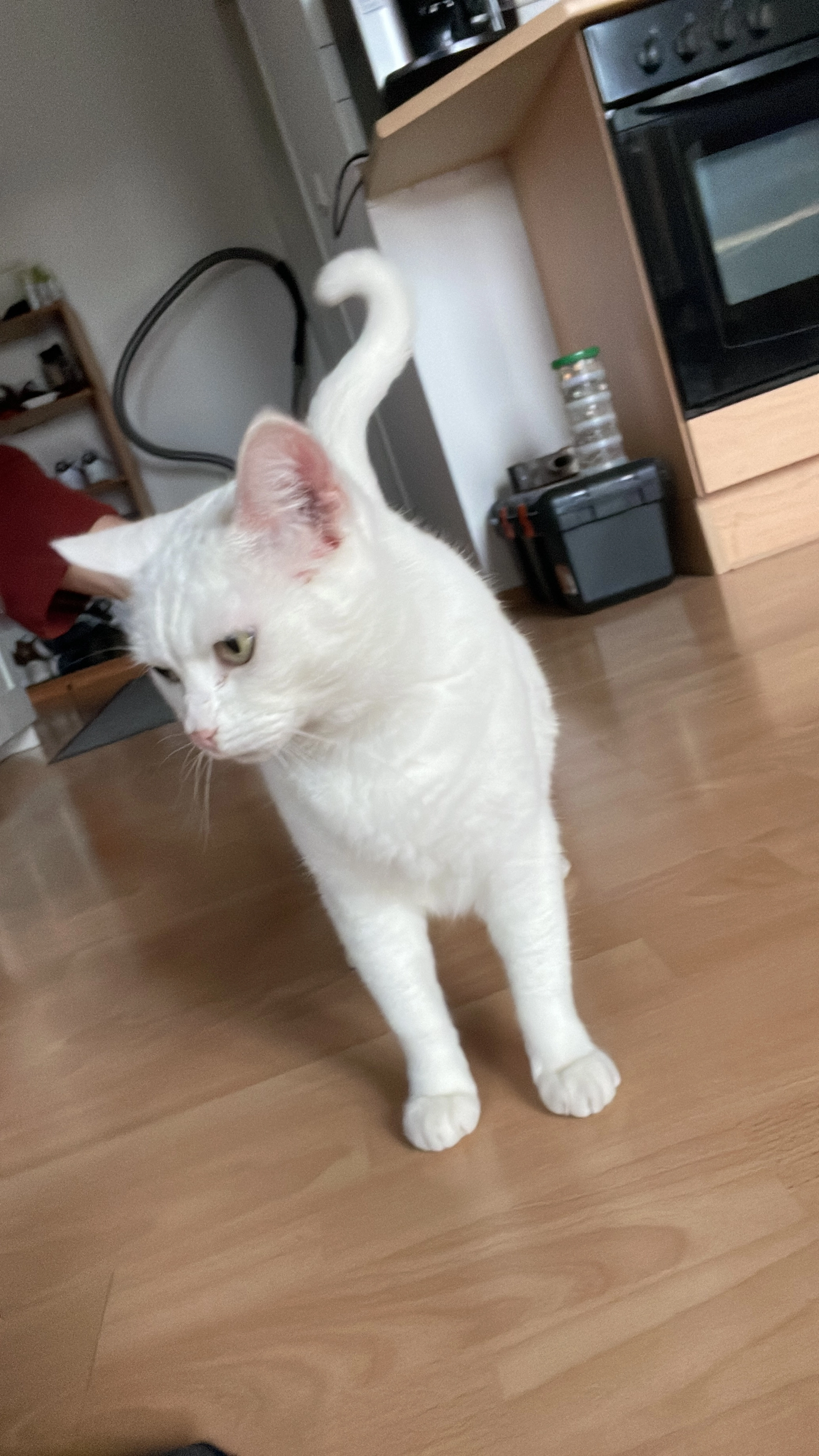 Mia - Dorfstraße, Altomünster