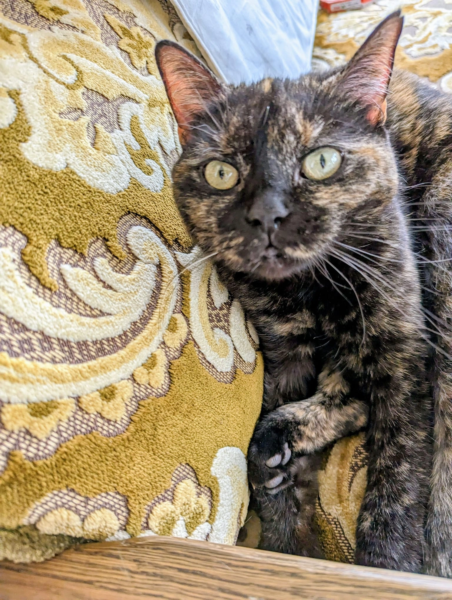 Pünktchen - An der Haschenbrücke, Altenkunstadt