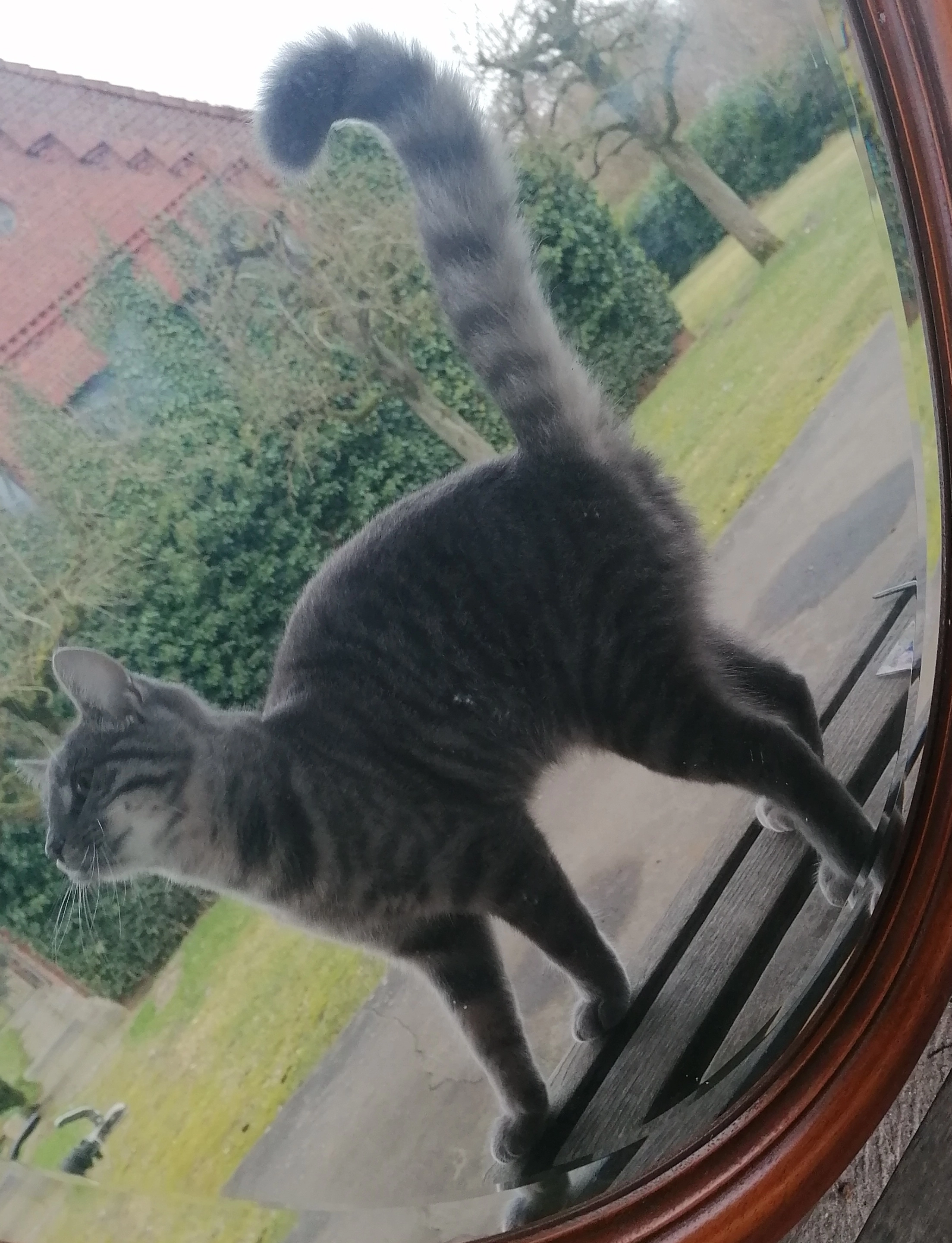 Ruth Clara Gainsbouroug - Kastanienallee, Nottensdorf