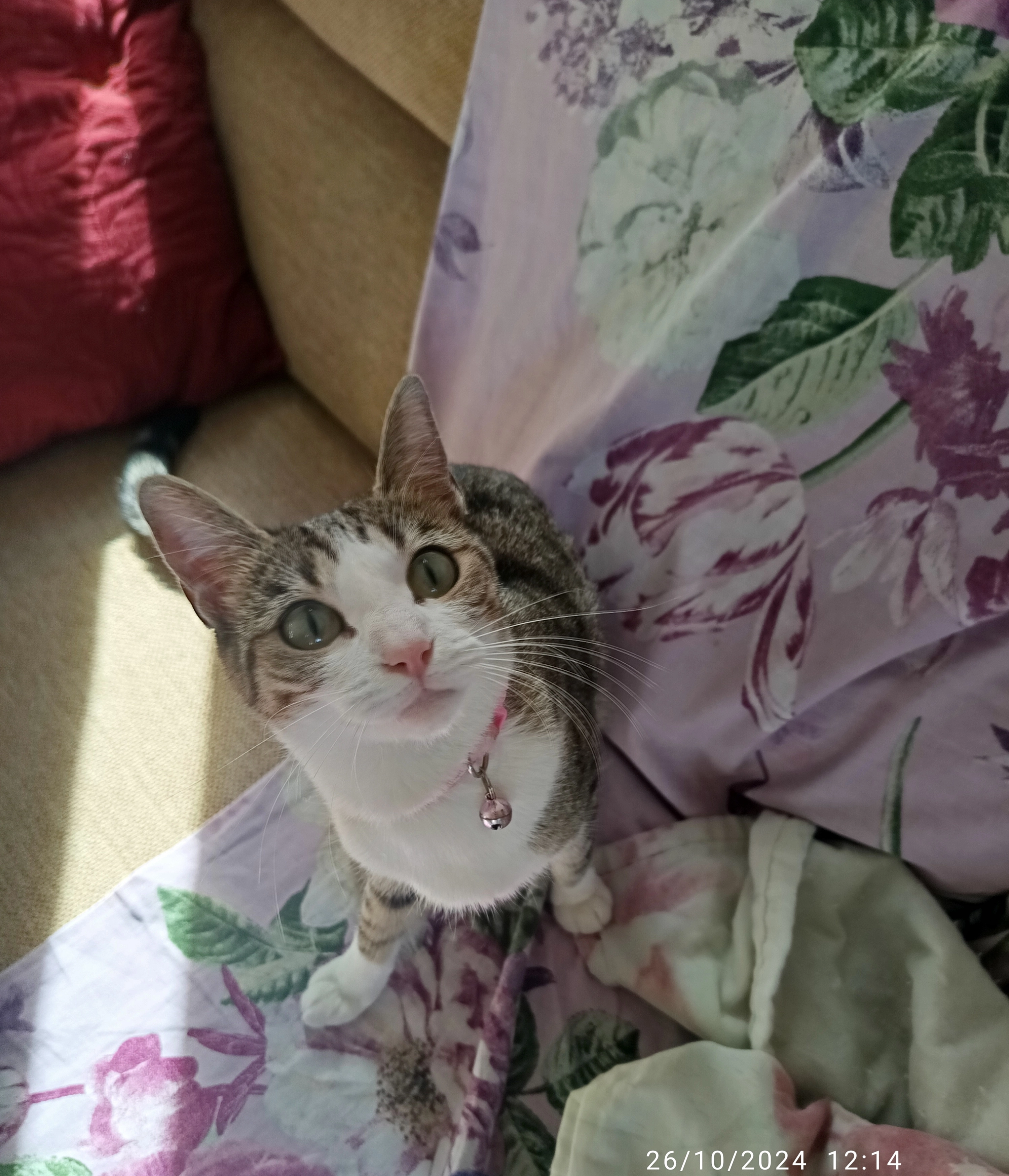 Luna - Calle del Diéciseis, Nuevo Baztán