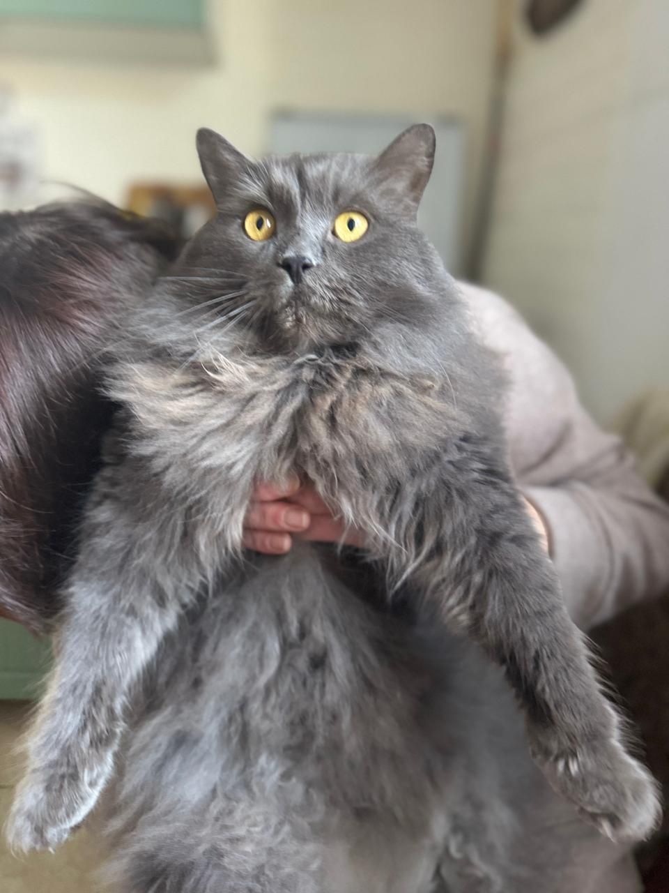 Söma - 34621, Frielendorf