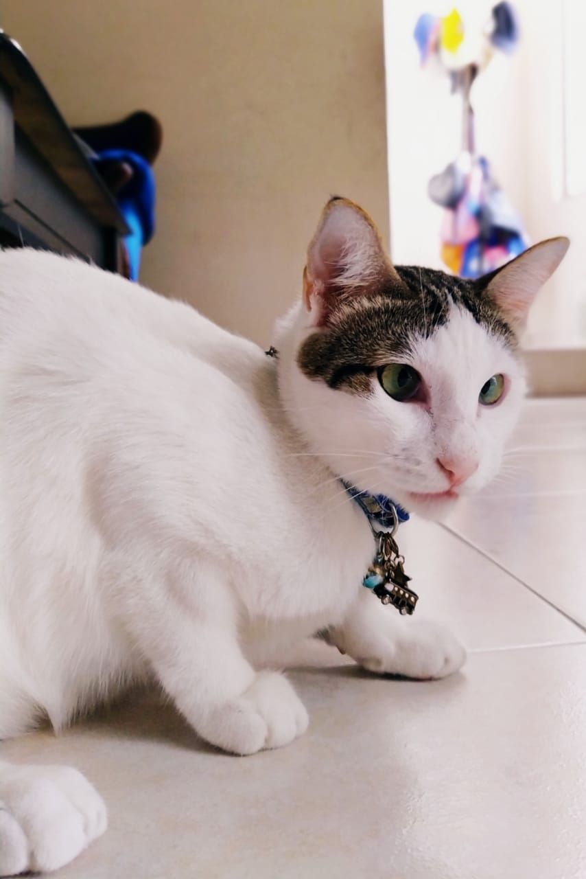 Labi - Jalan S2 D28, Pekan Mambau