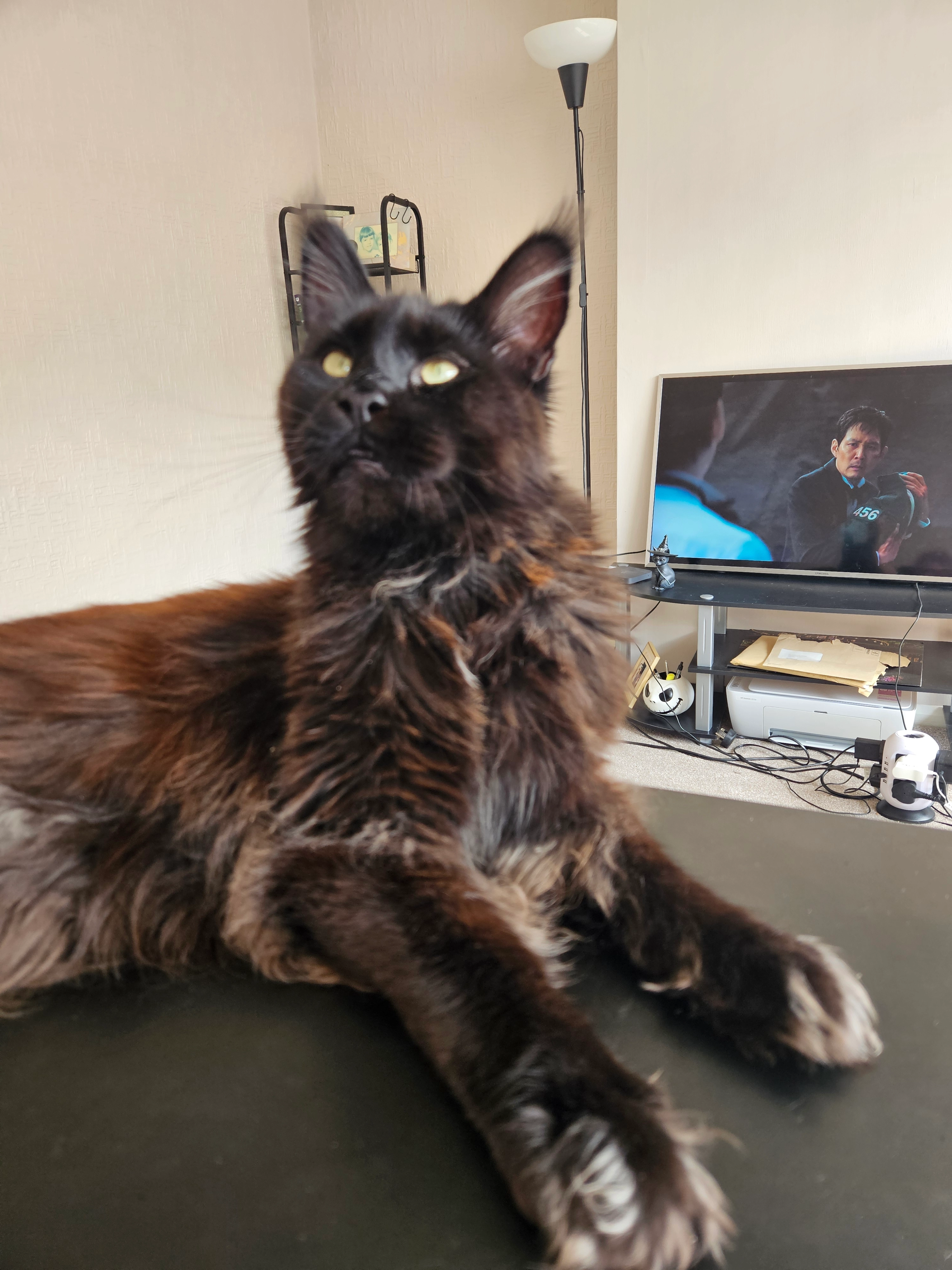 Odin - DN6 9, Doncaster