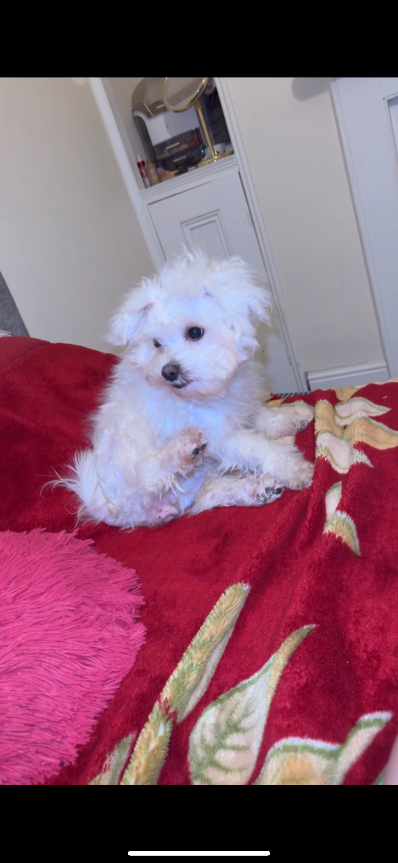 Chloe - NN1 4, Northampton