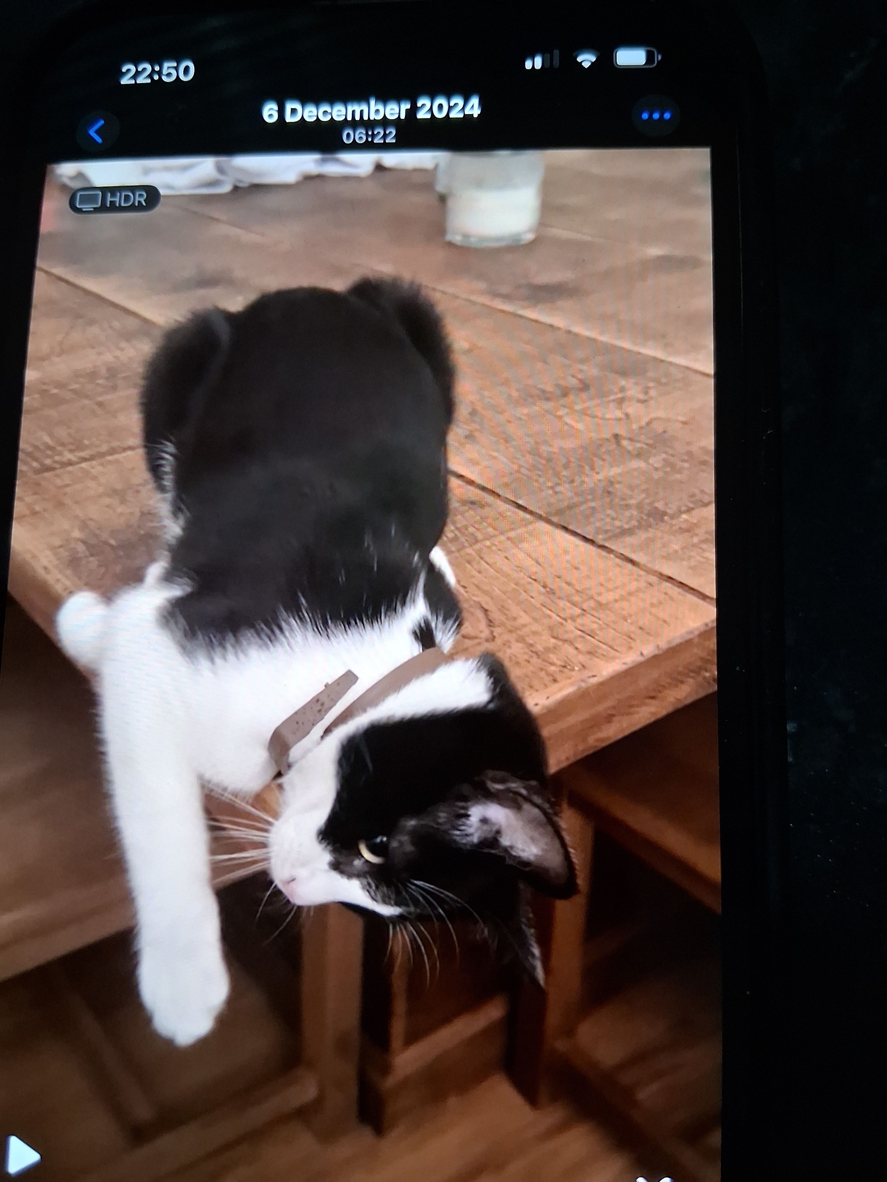 Cecil - Dallas Street, Mansfield